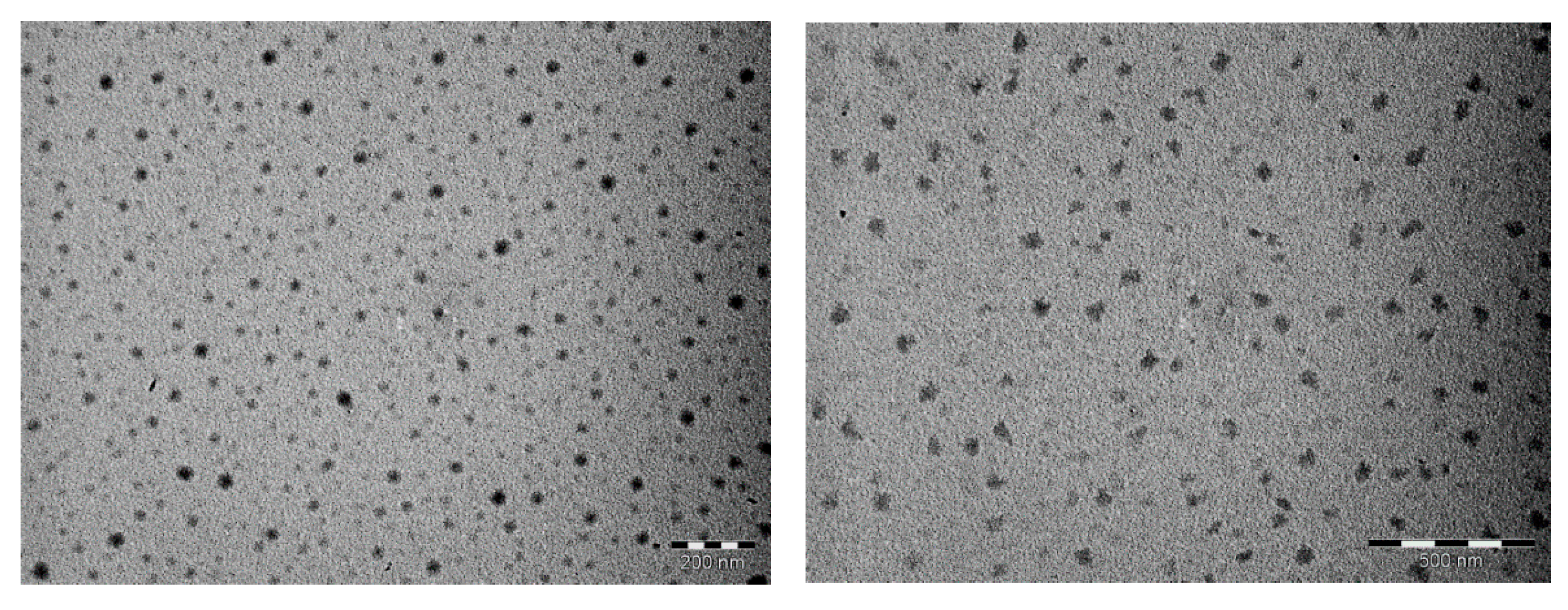 Materials 14 04444 g004 550