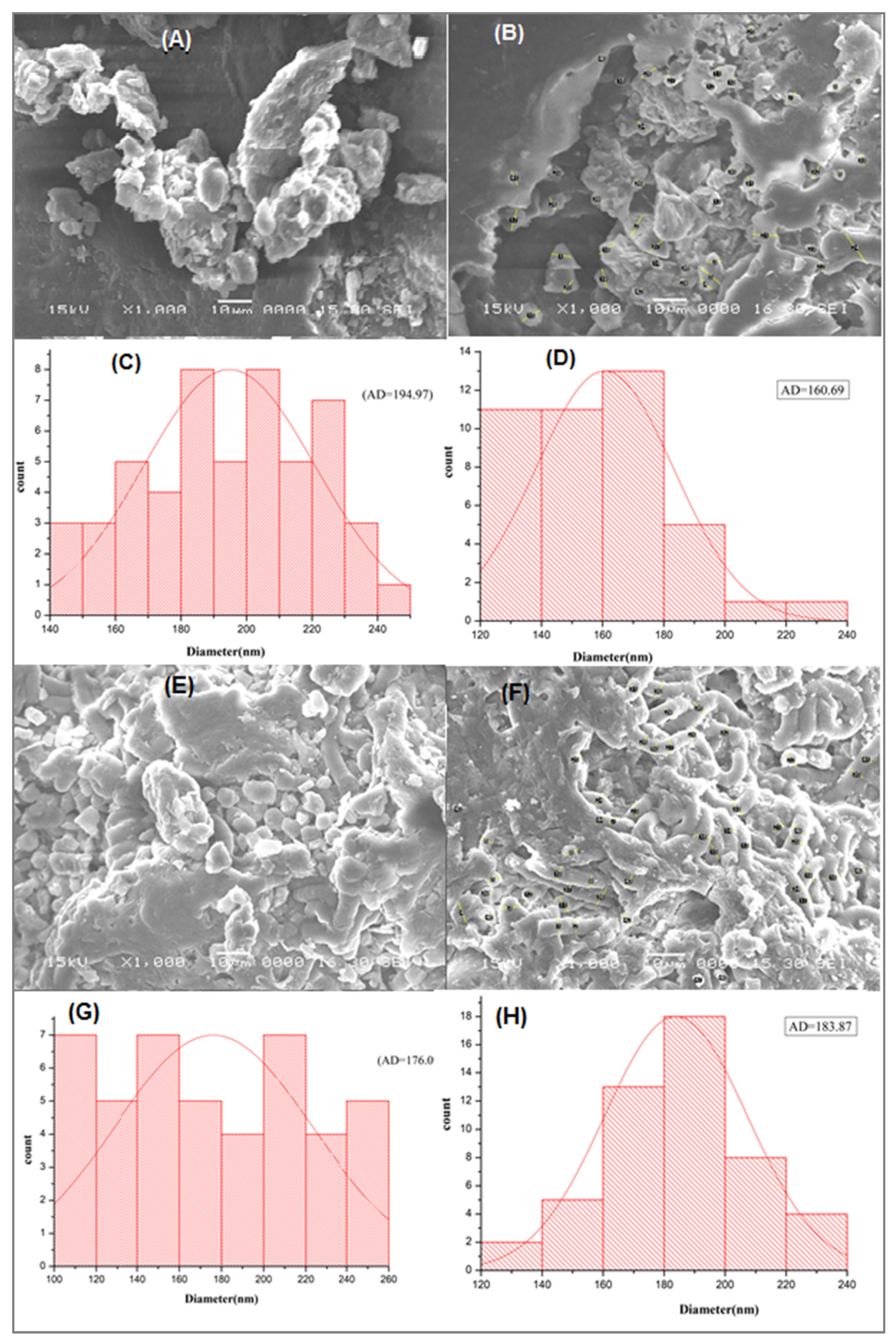 Materials 14 04446 g003