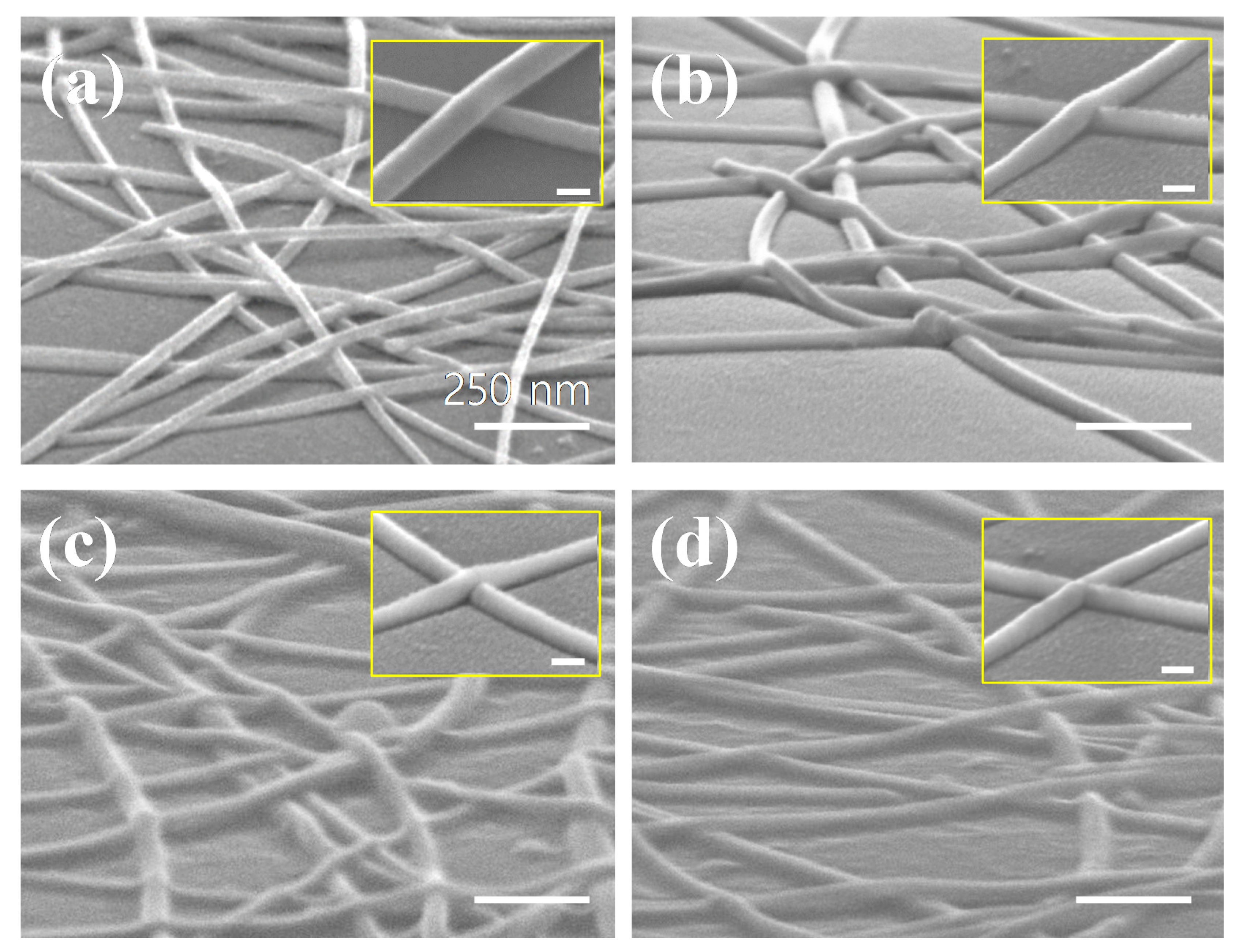 Materials 14 04448 g004 550