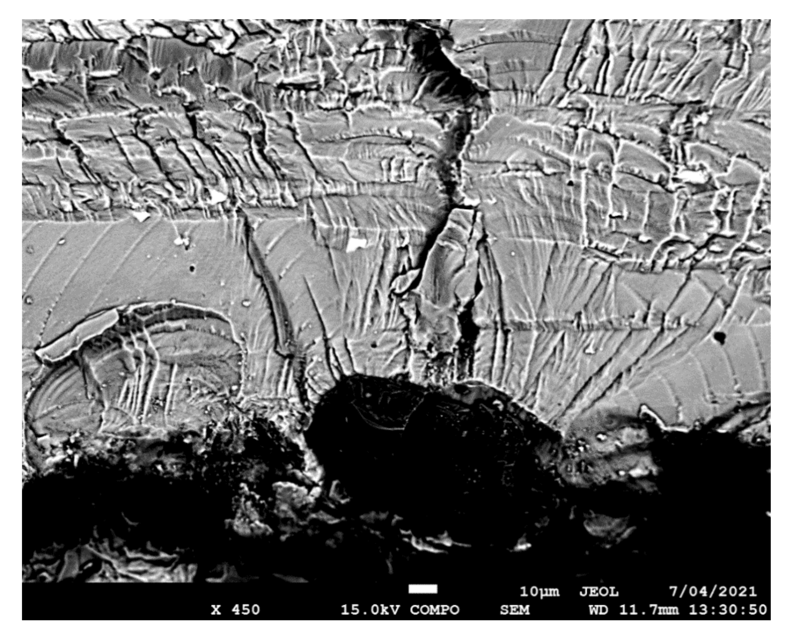 Materials 14 04451 g005 550