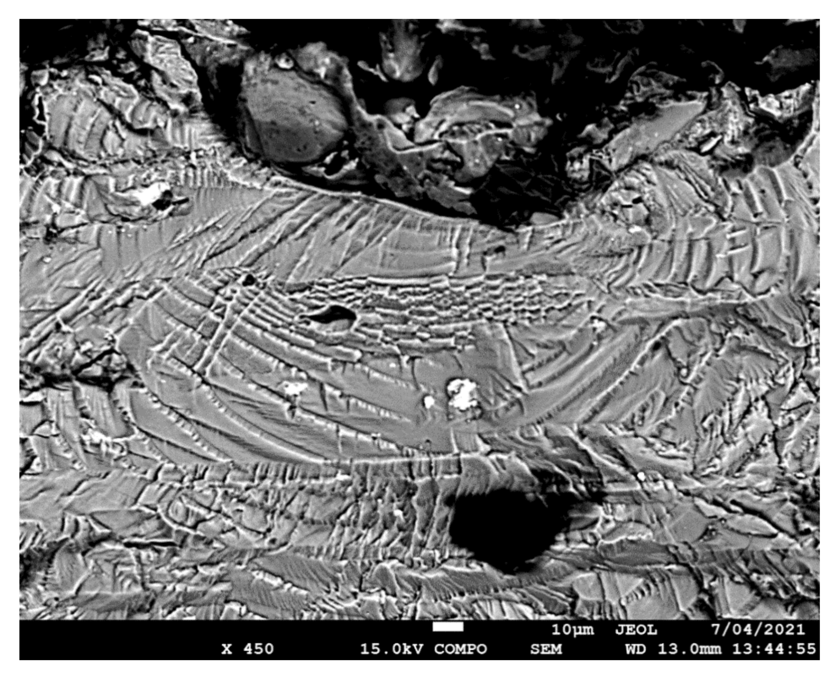 Materials 14 04451 g006 550