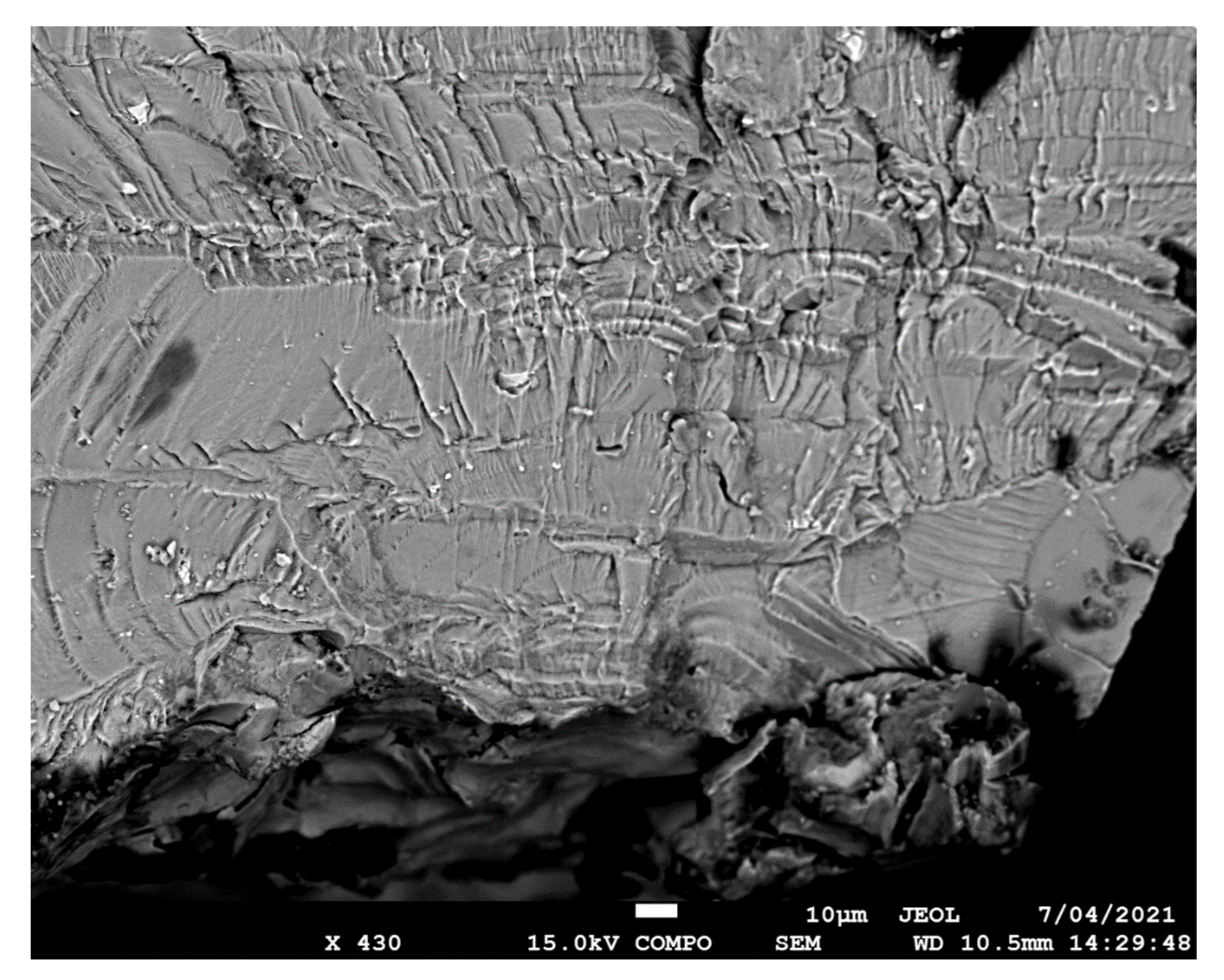 Materials 14 04451 g007 550