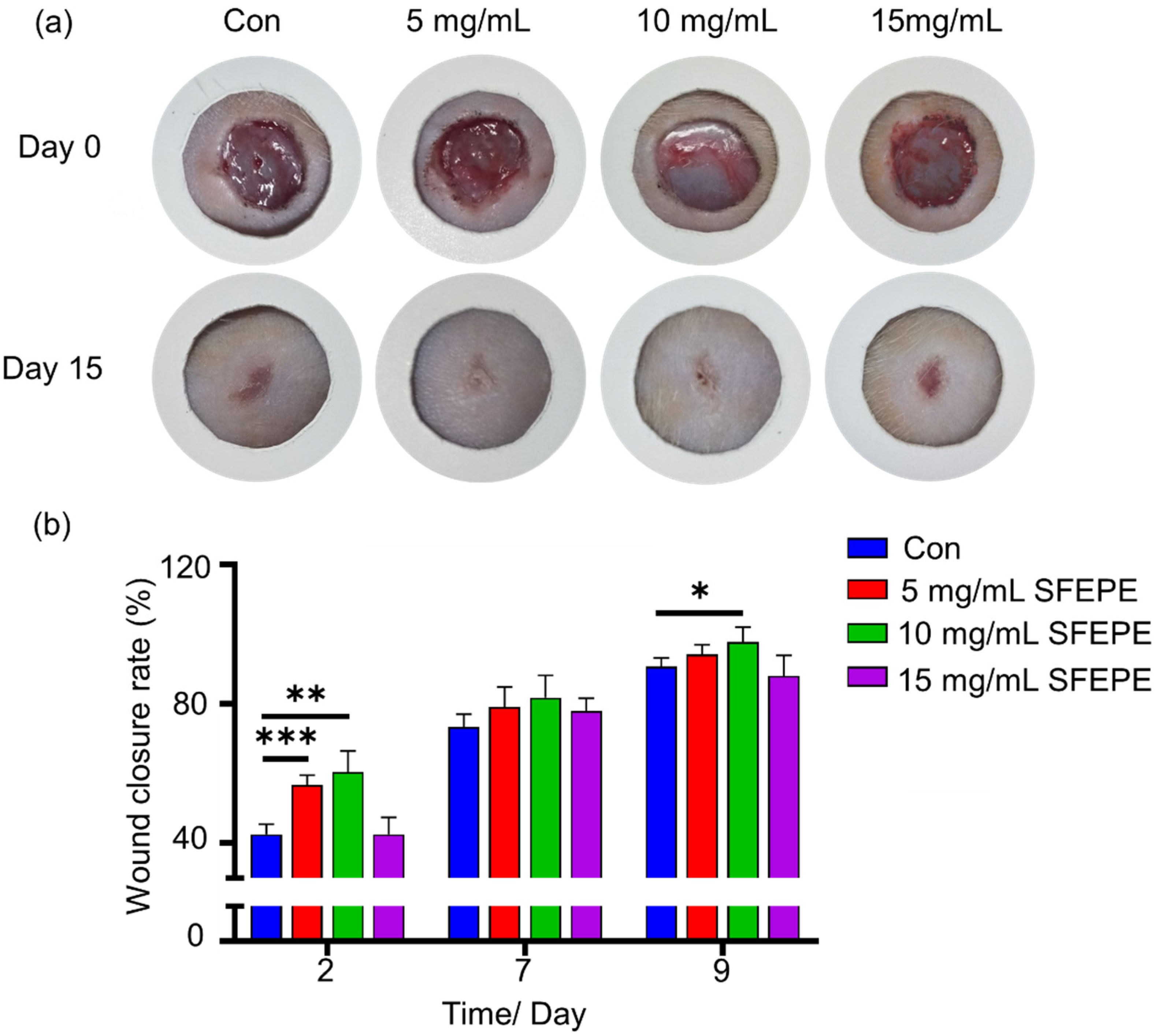 Materials 14 04458 g004 550