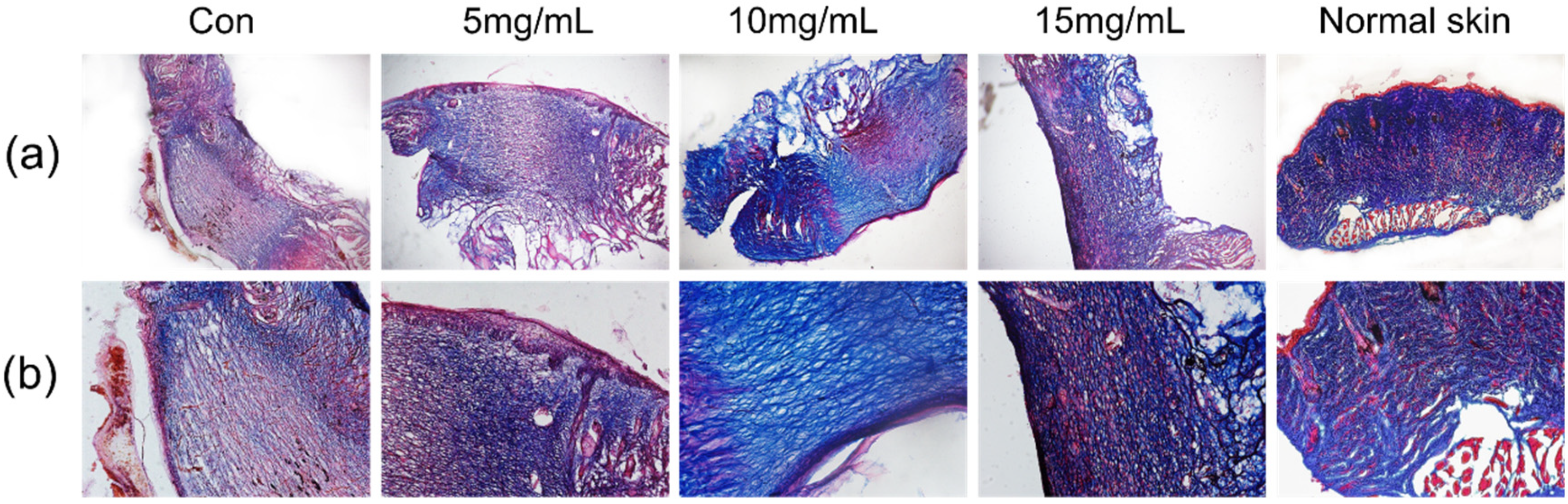 Materials 14 04458 g005 550