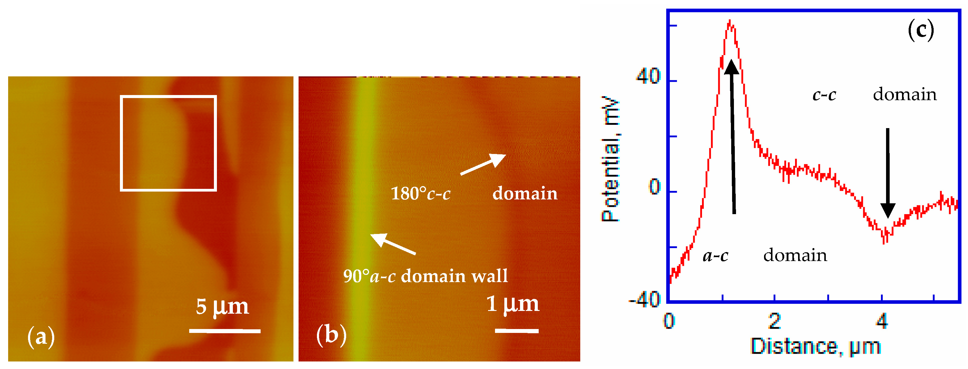 Materials 14 04463 g004