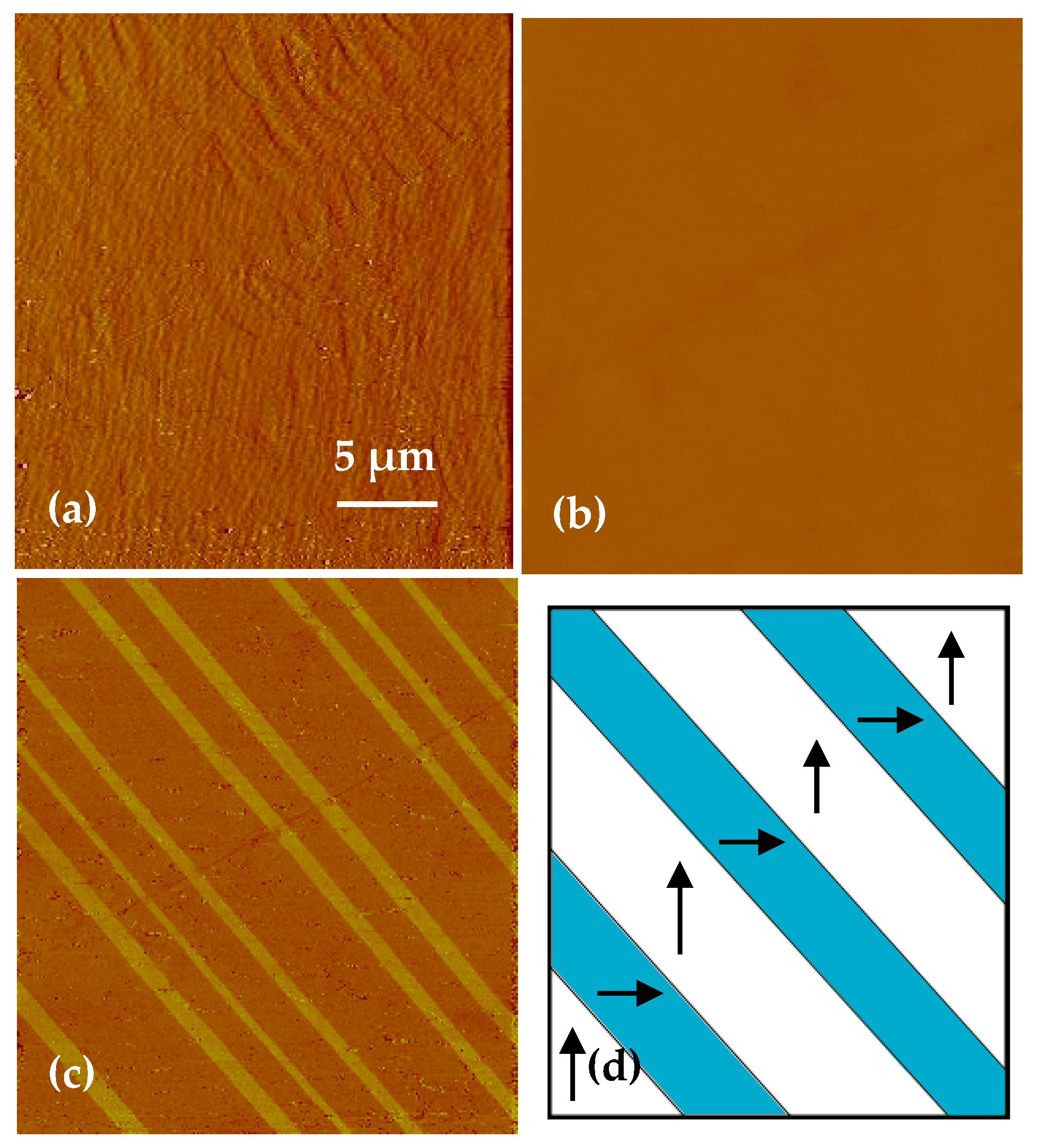 Materials 14 04463 g005