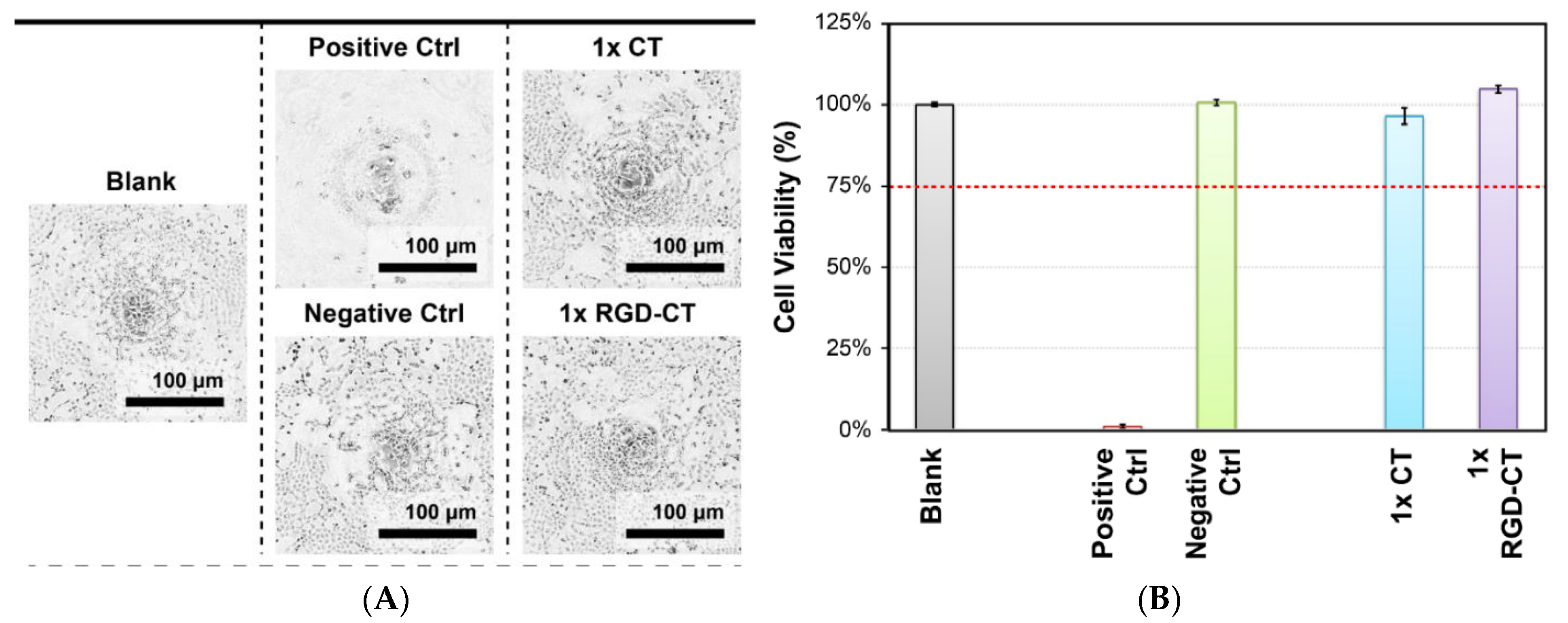 Materials 14 04467 g005