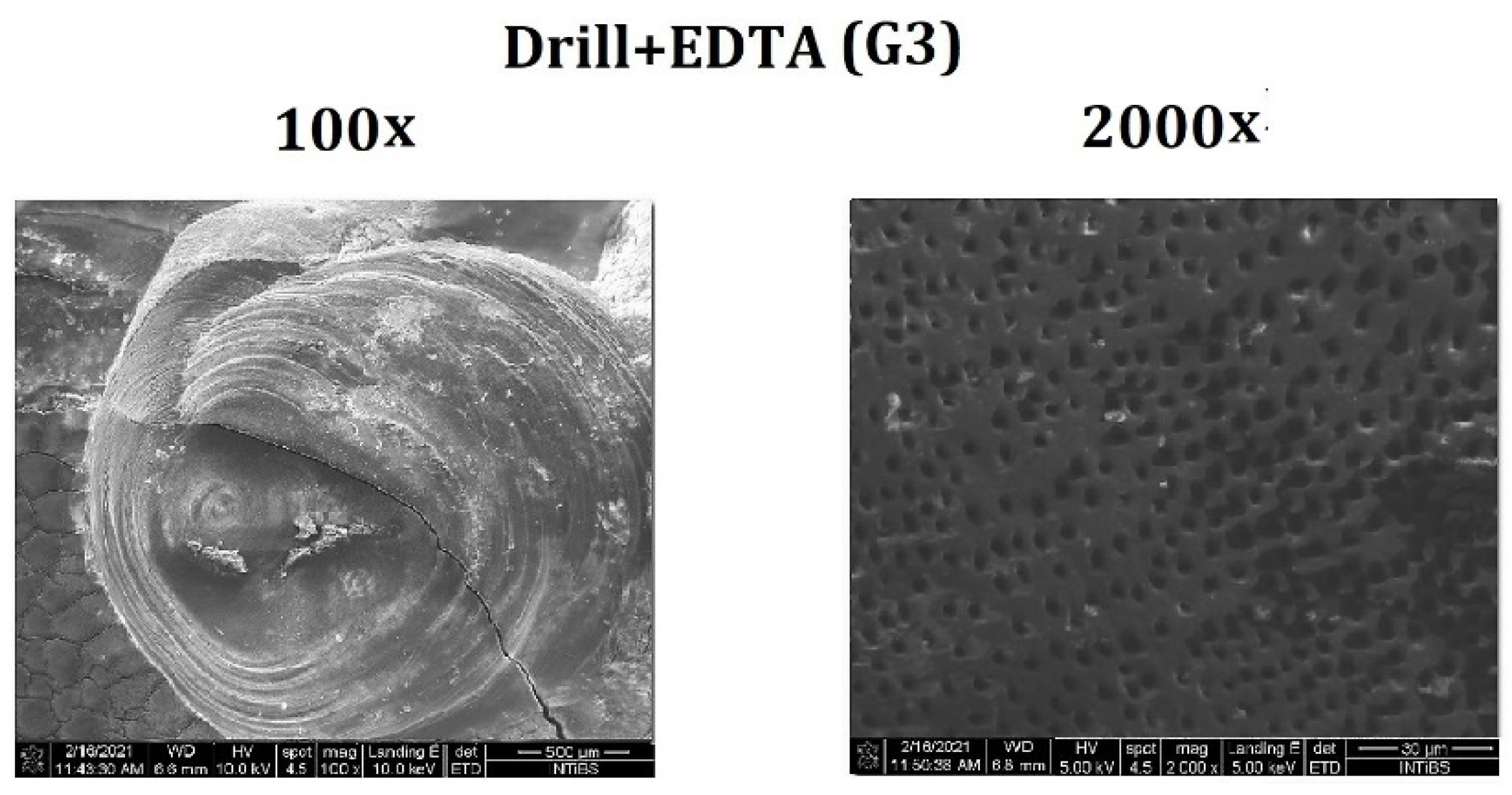 Materials 14 04469 g002 550