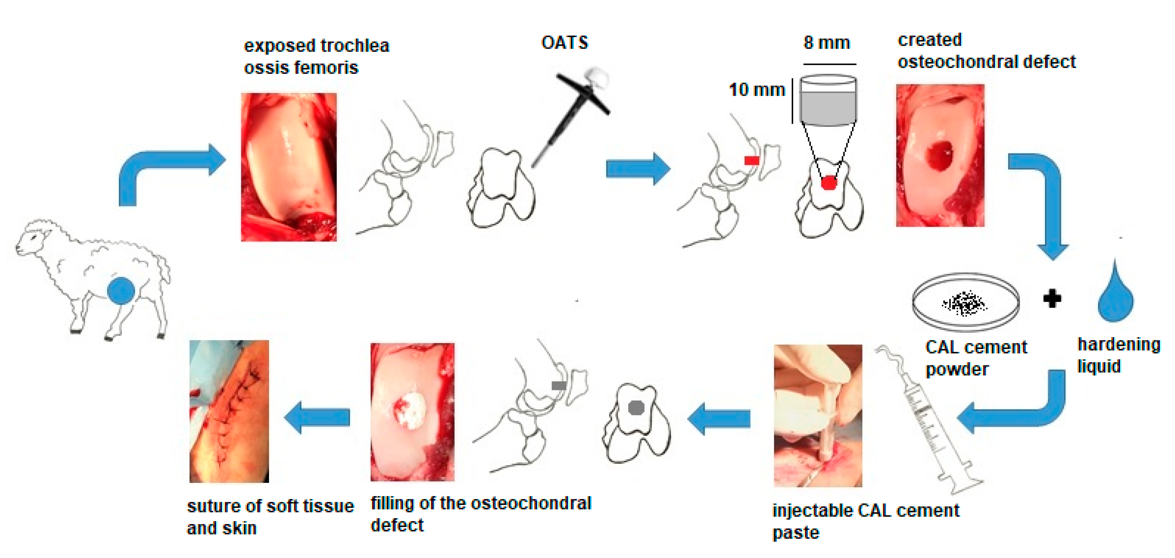 Materials 14 04471 g001 Materials 14 04471 g001