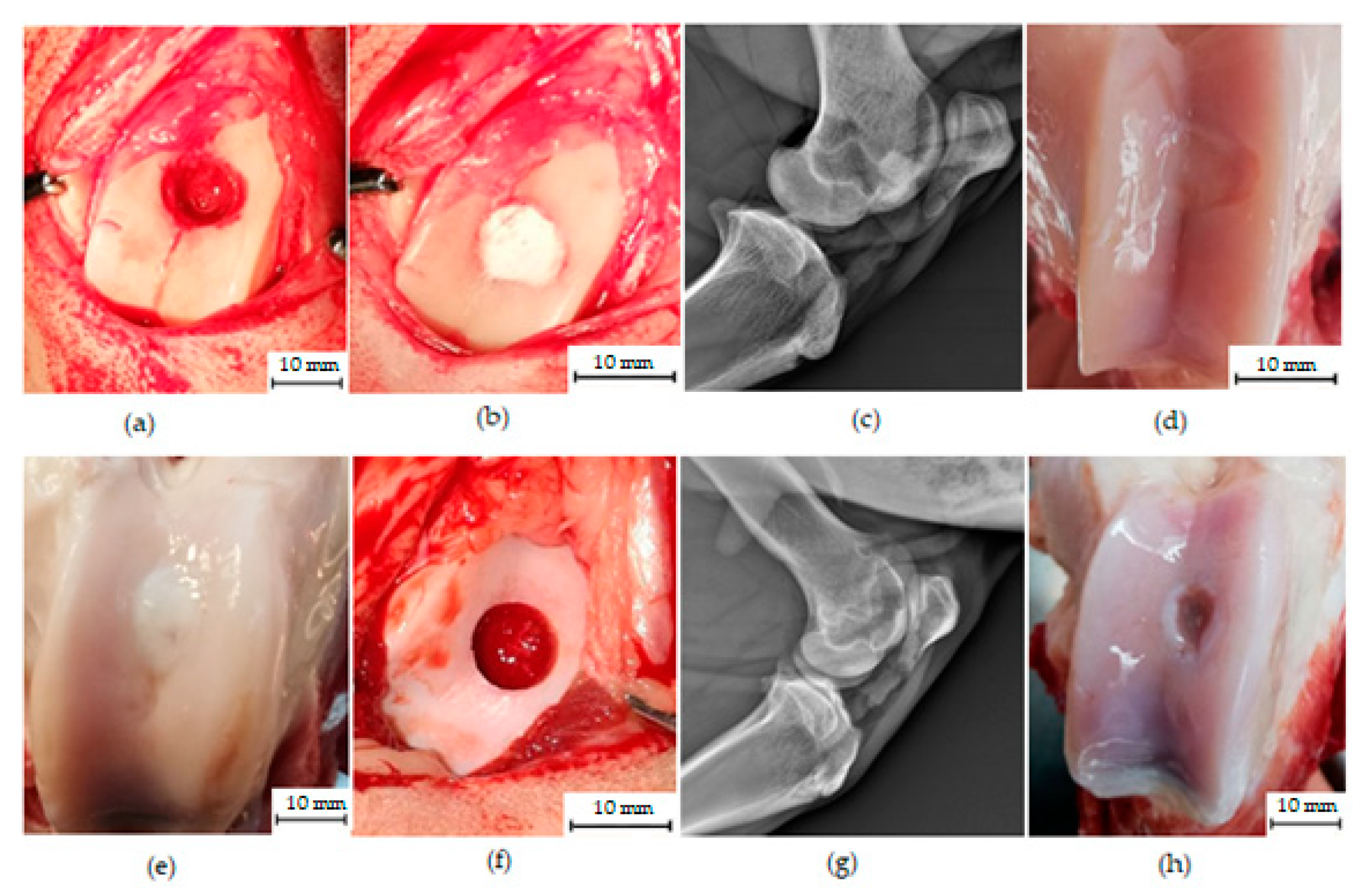 Materials 14 04471 g002 Materials 14 04471 g002