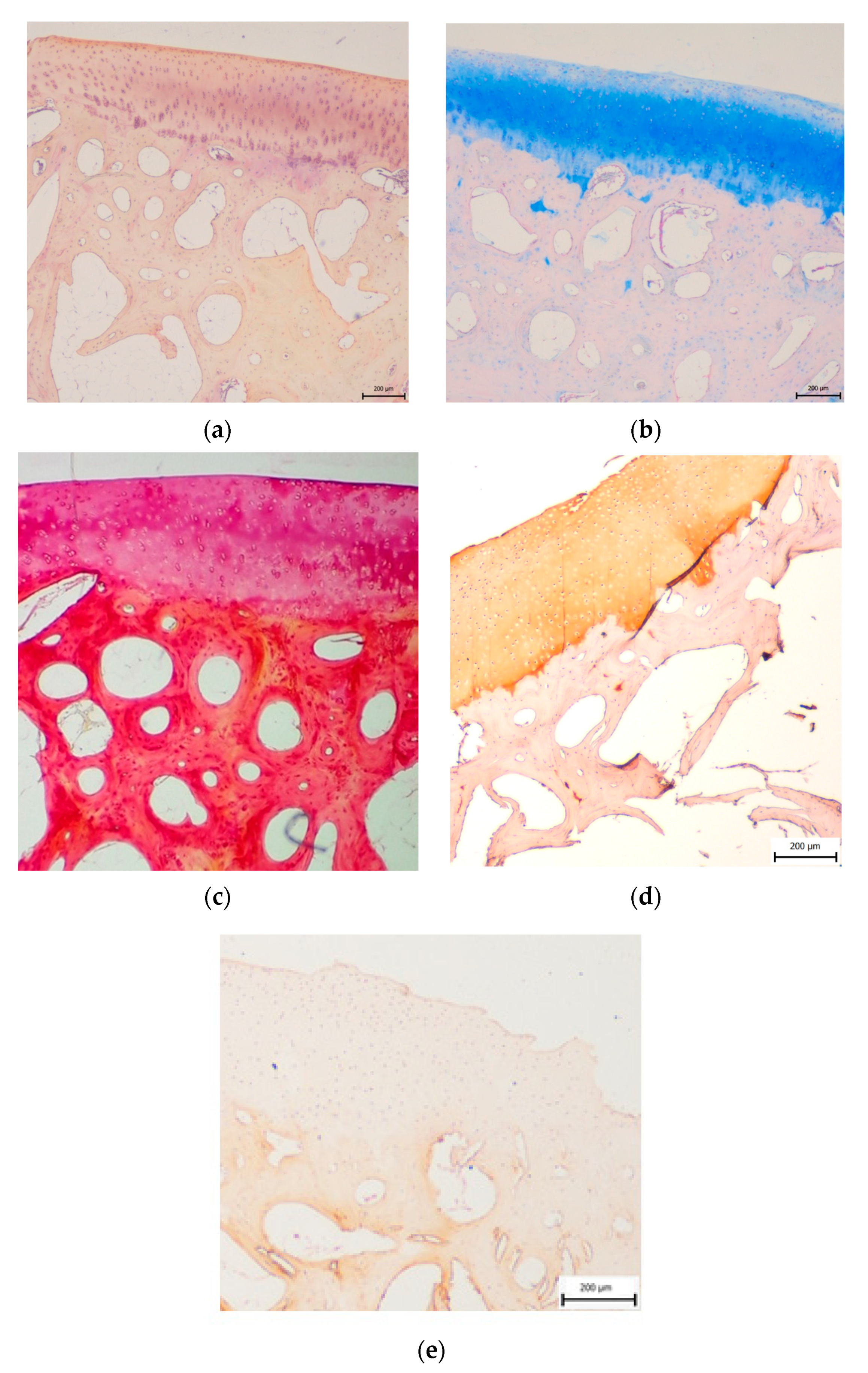 Materials 14 04471 g003 Materials 14 04471 g003