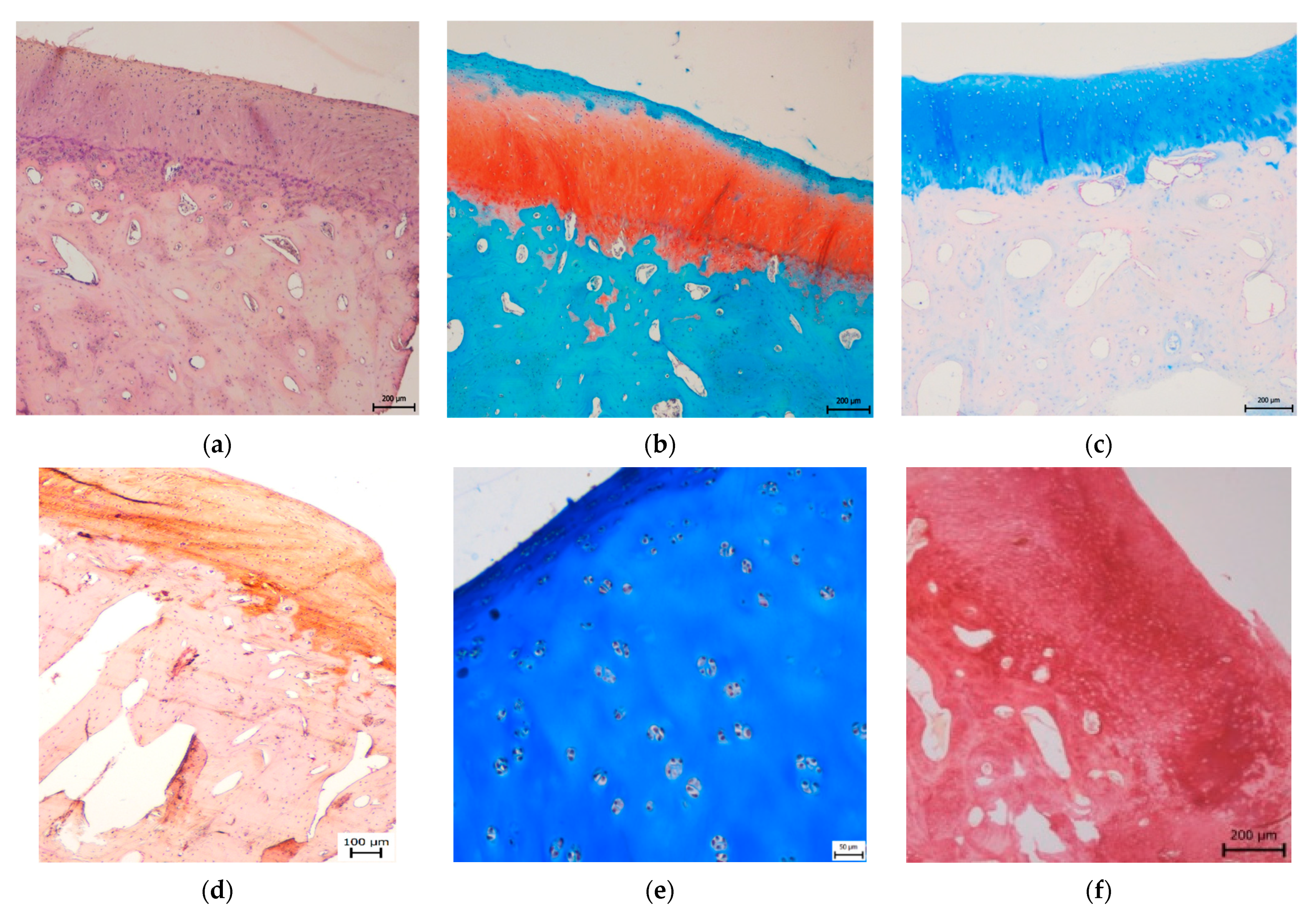 Materials 14 04471 g004a Materials 14 04471 g004a