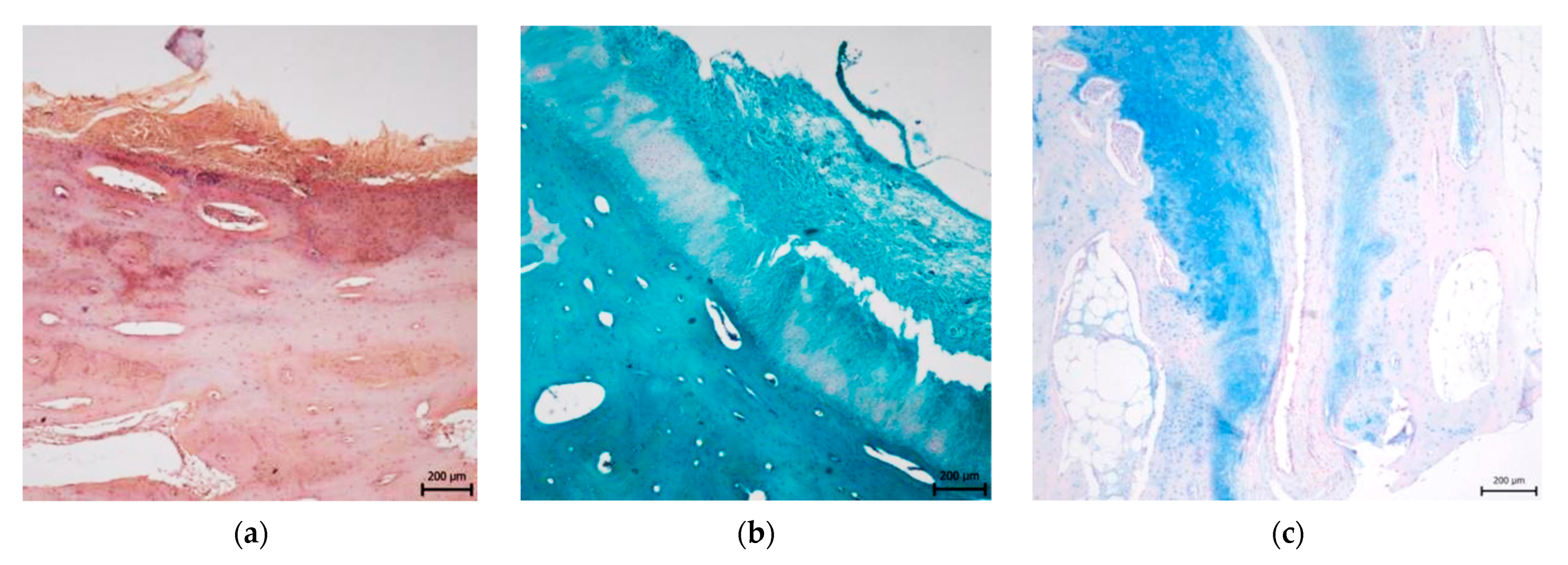 Materials 14 04471 g005a Materials 14 04471 g005a