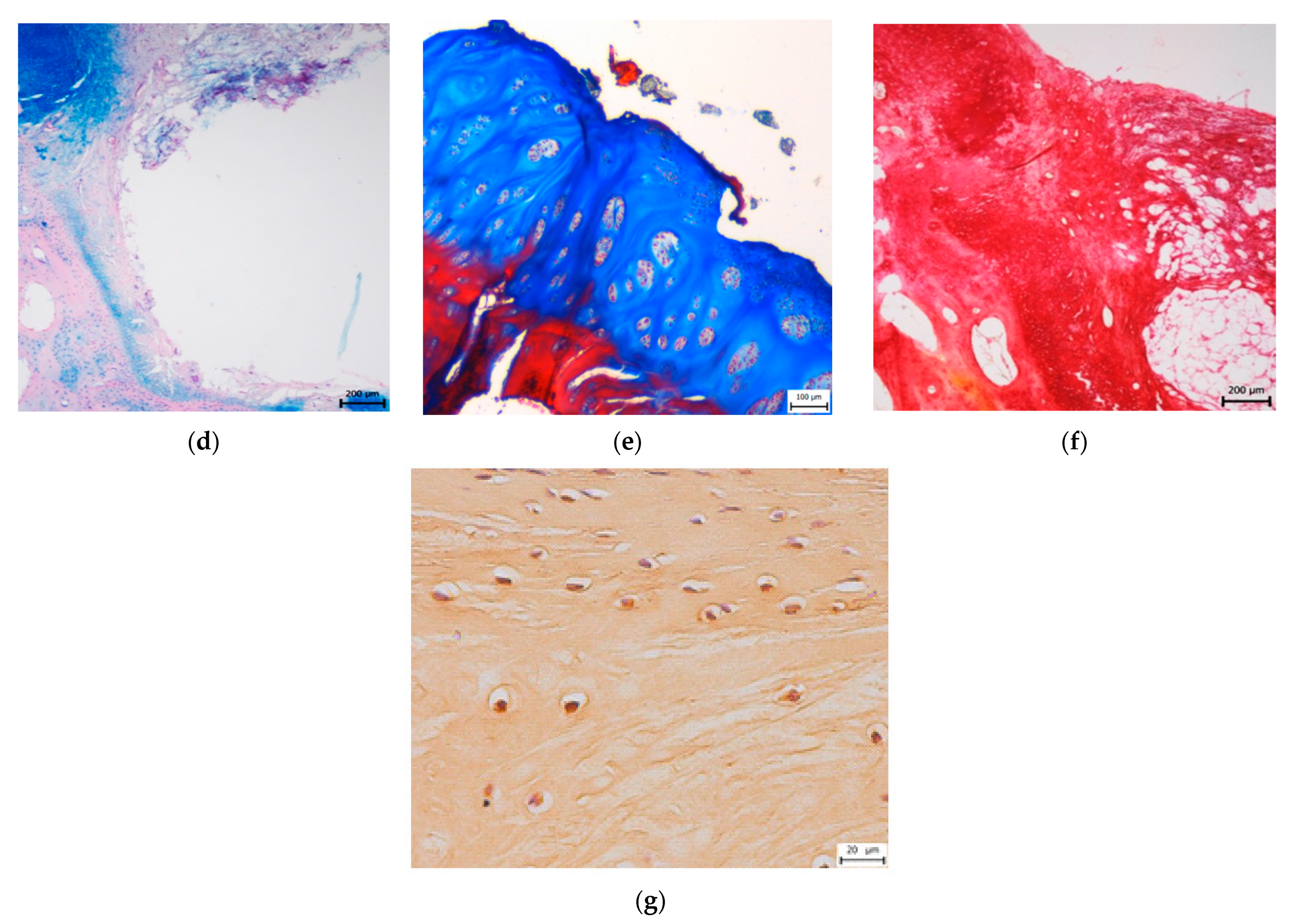 Materials 14 04471 g005b Materials 14 04471 g005b