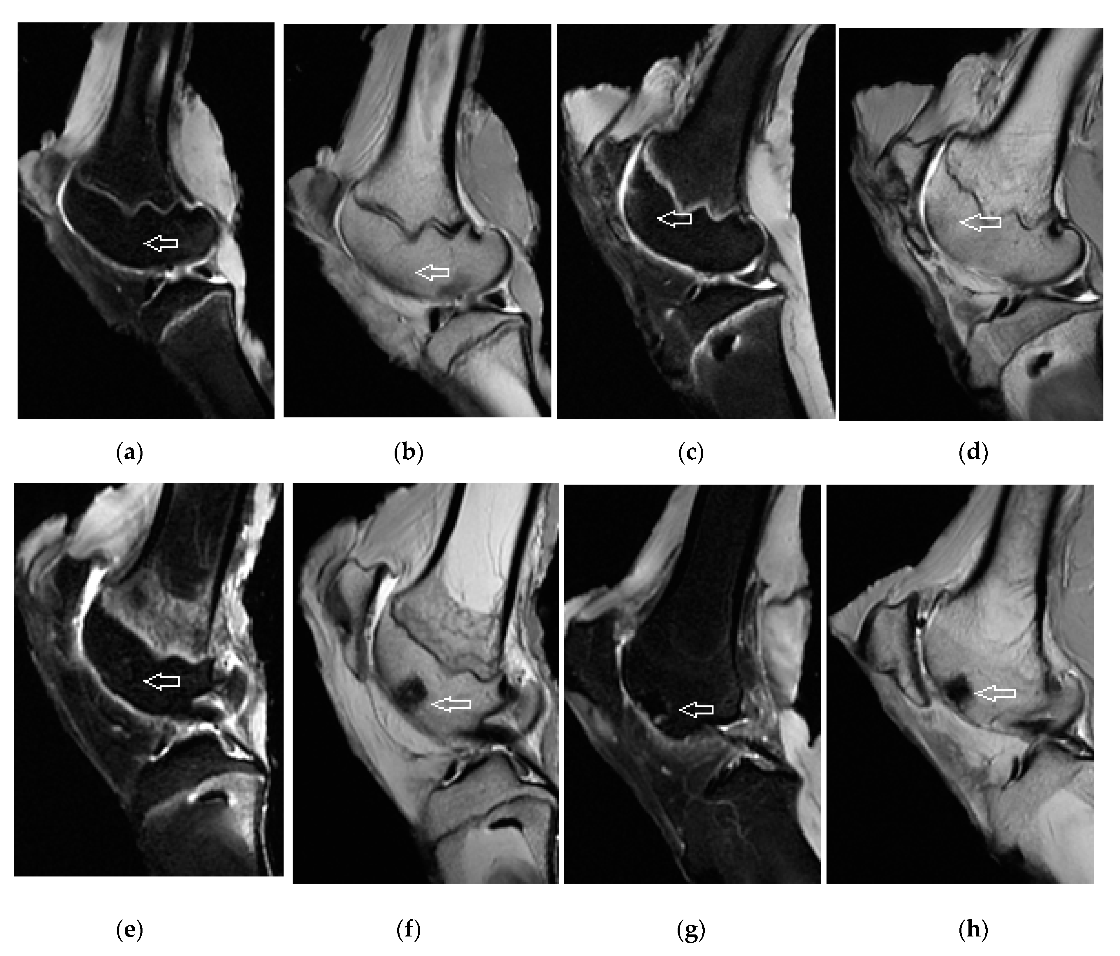 Materials 14 04471 g007 Materials 14 04471 g007