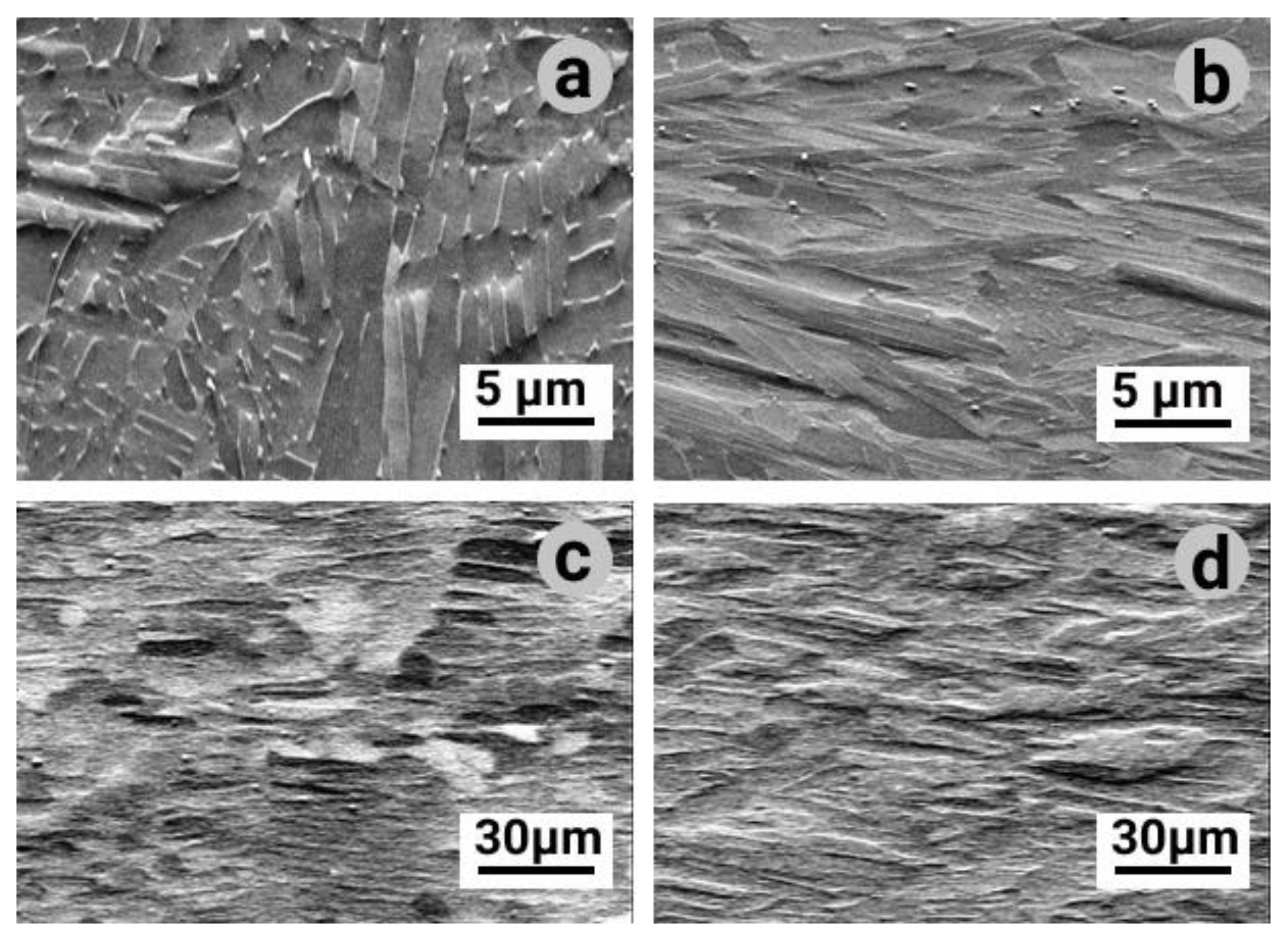 Materials 14 04473 g003 550