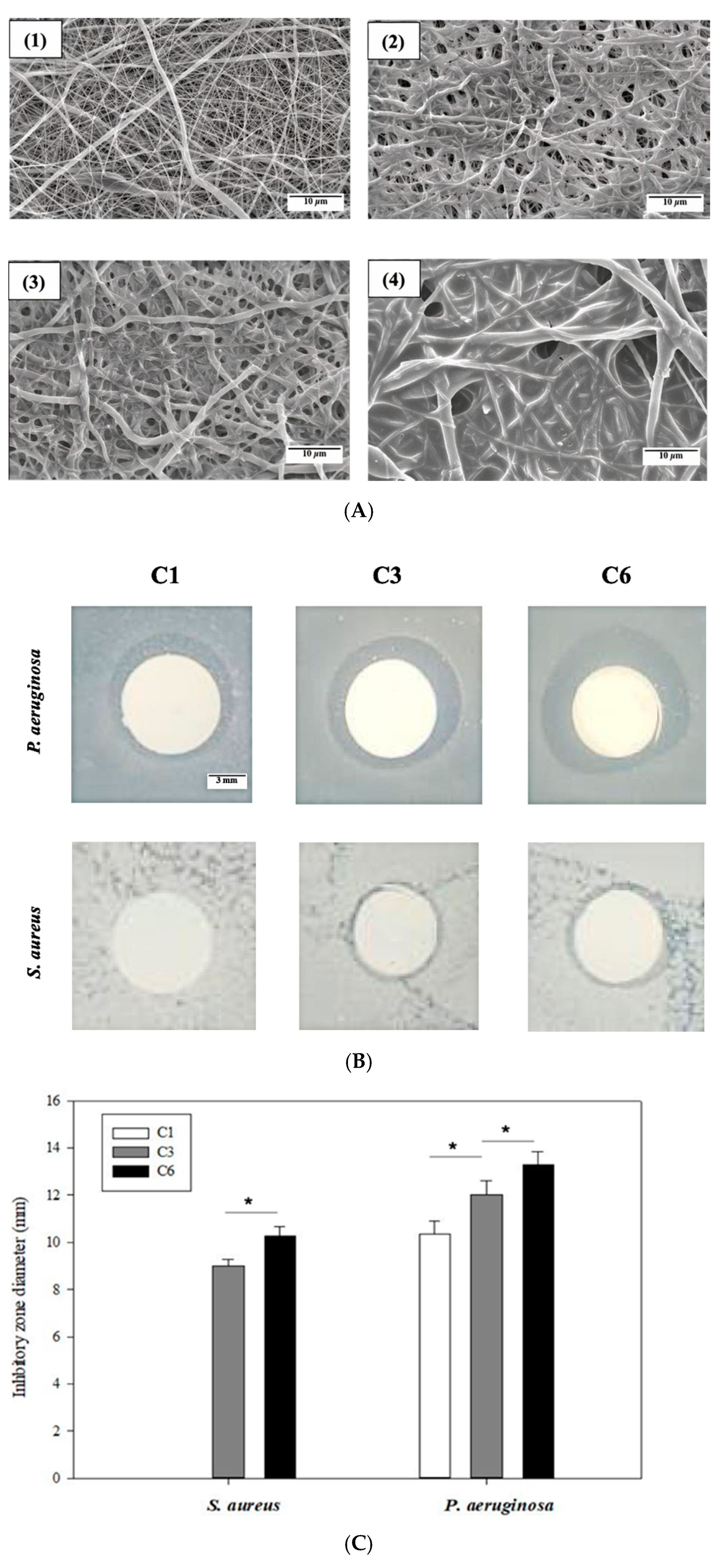 Materials 14 04475 g003