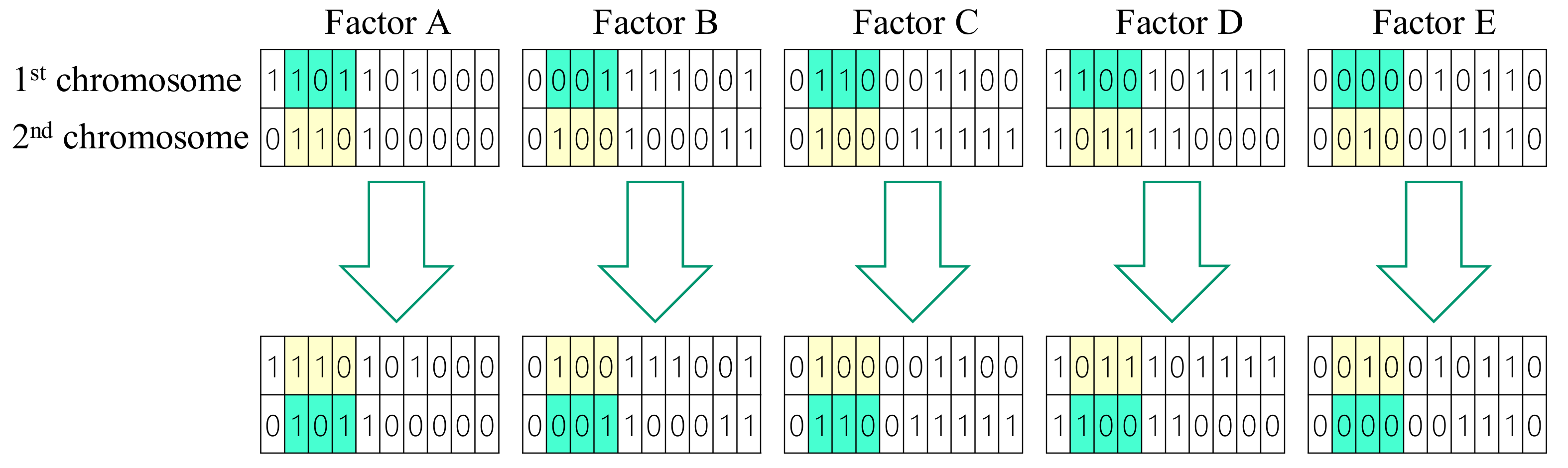 Materials 14 04481 g007 550