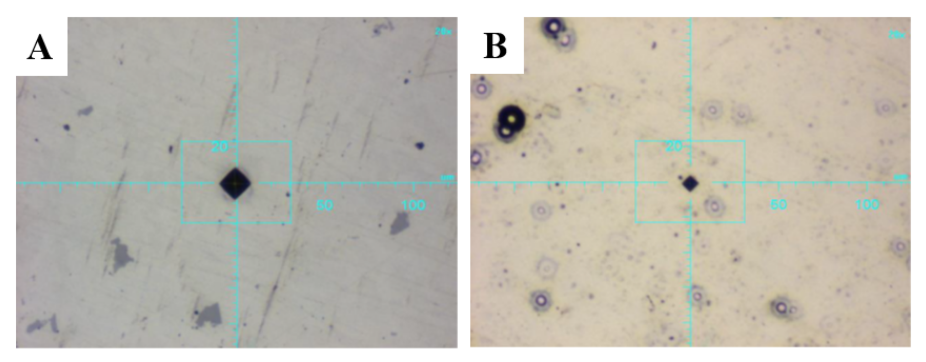 Materials 14 04487 g004 550