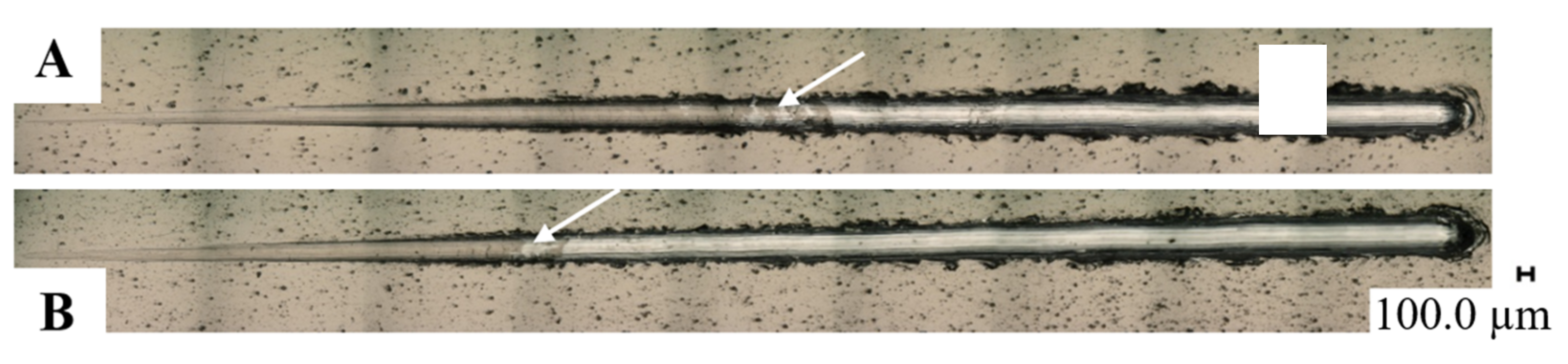 Materials 14 04487 g006 550