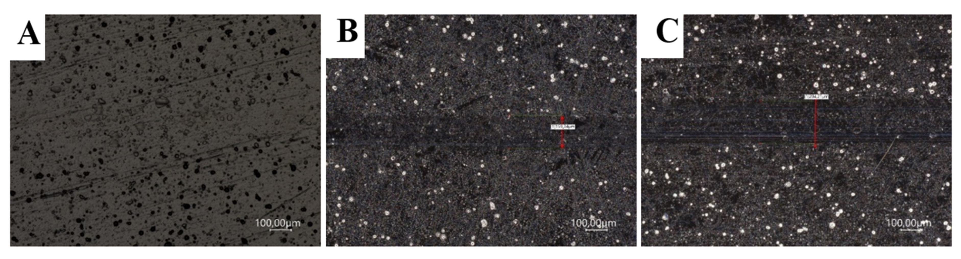 Materials 14 04487 g007 550