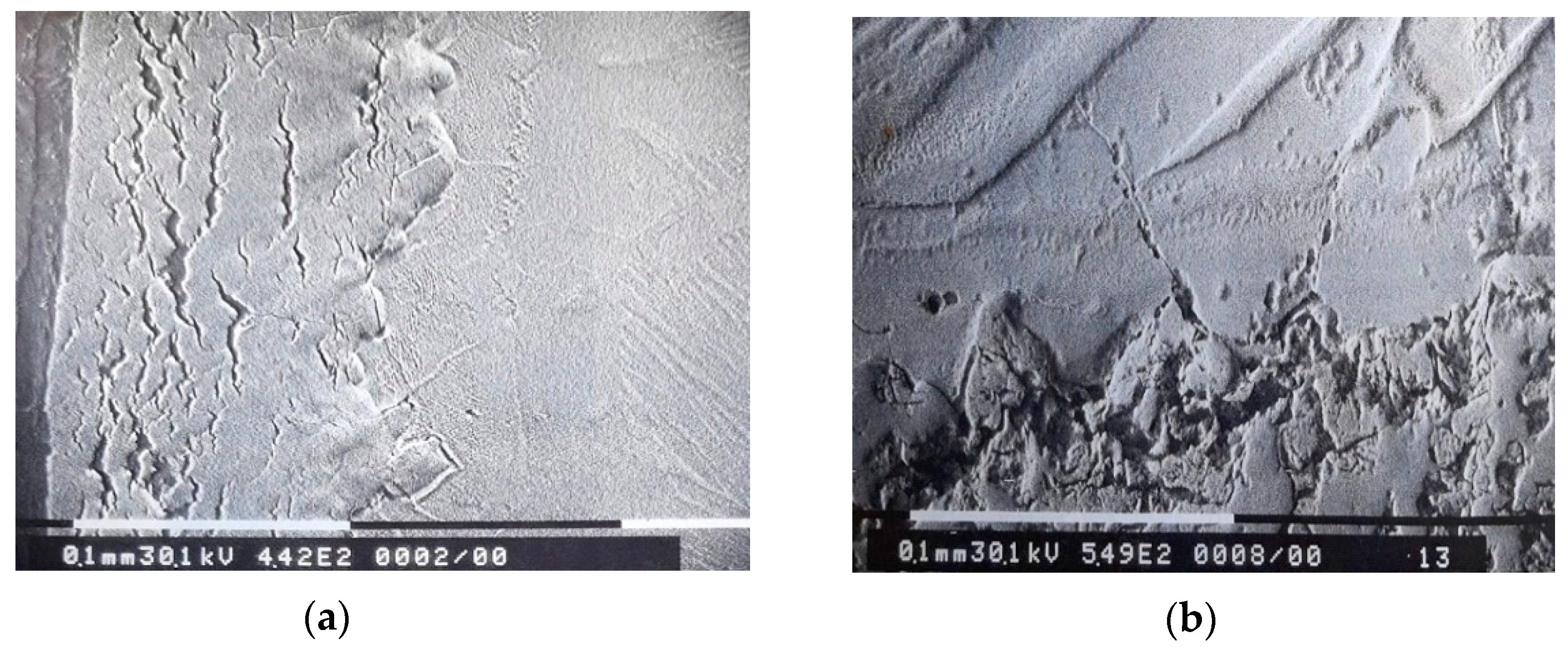 Materials 14 04494 g003