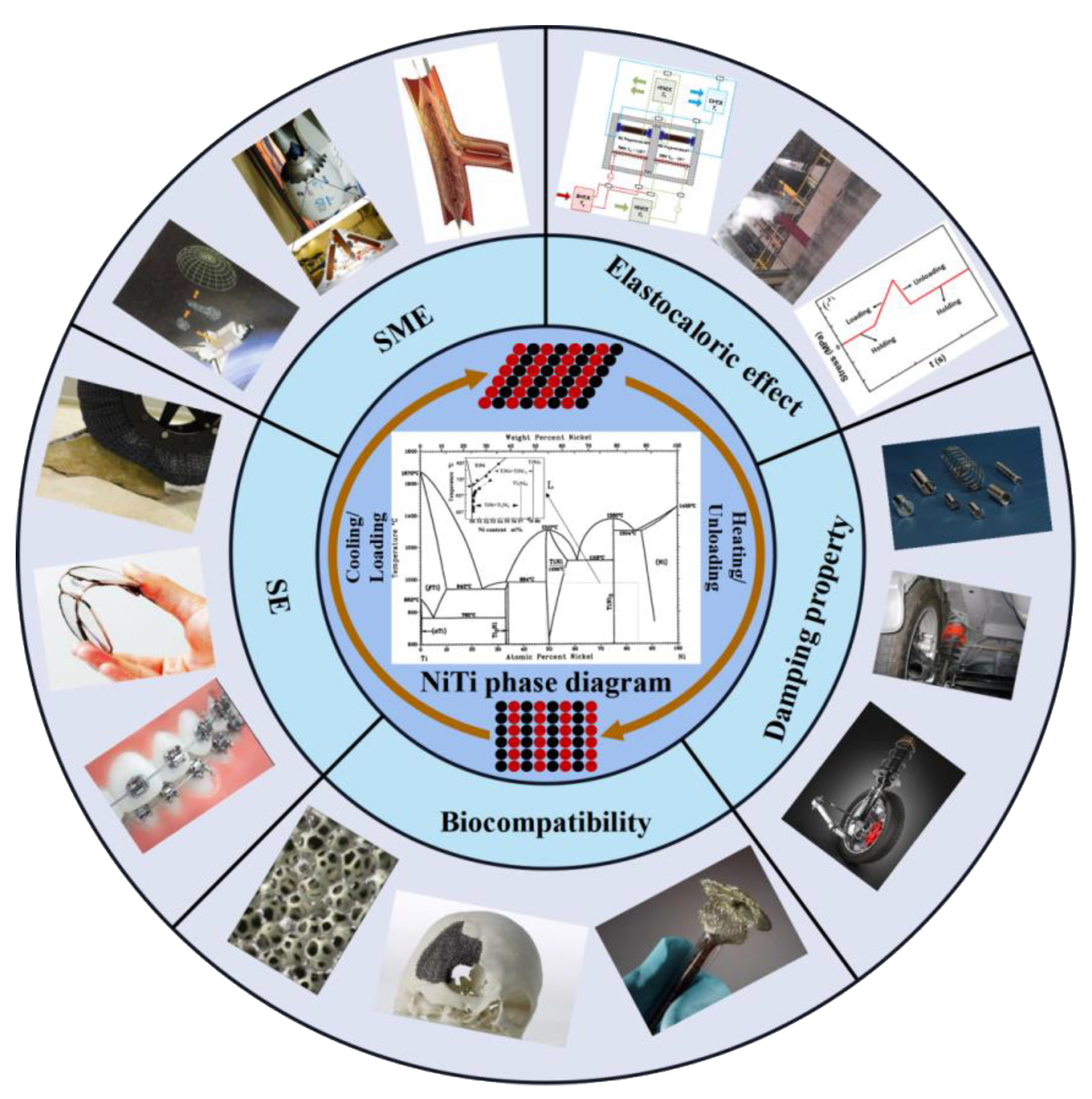 Materials 14 04496 g001 550