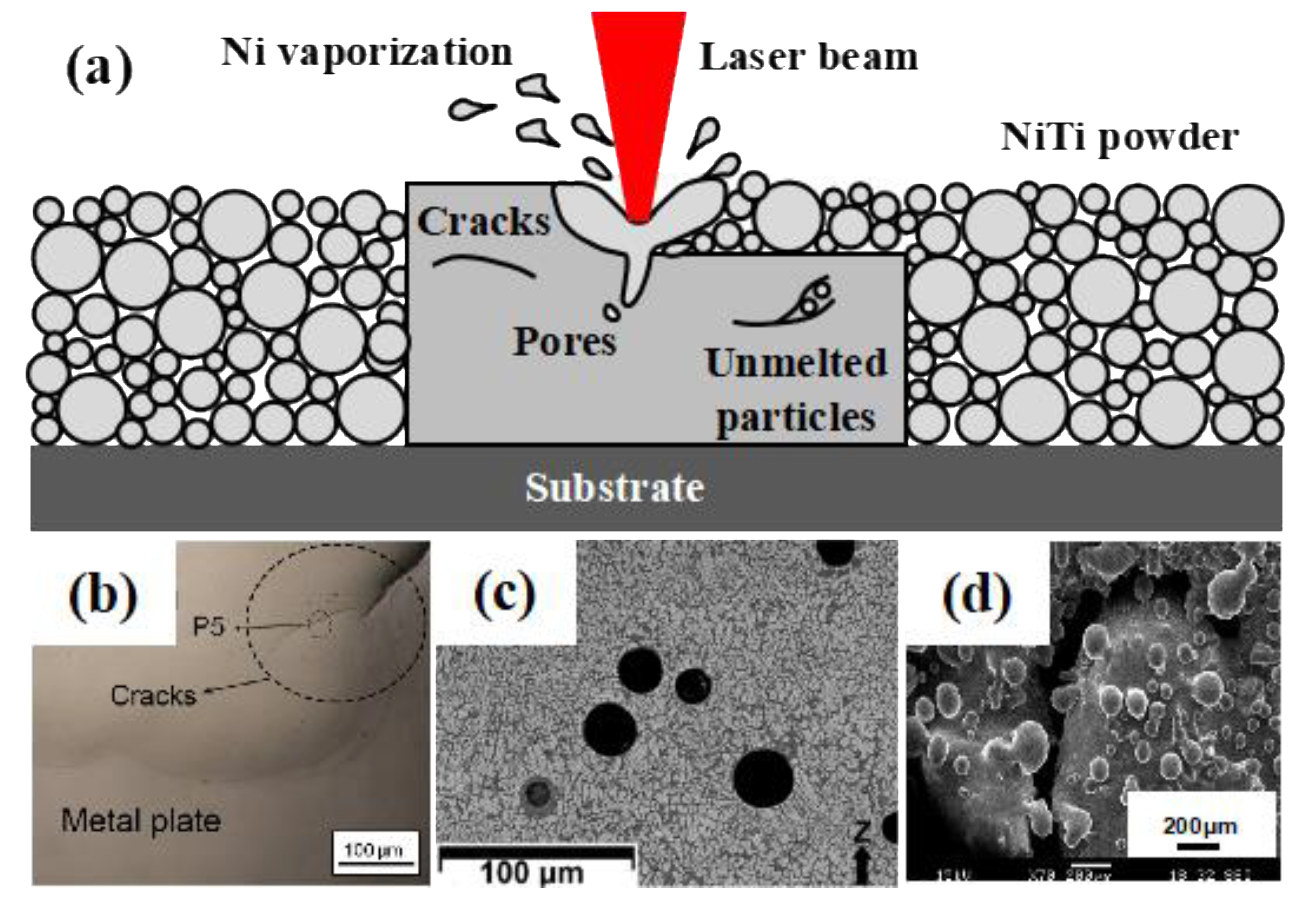 Materials 14 04496 g005 550