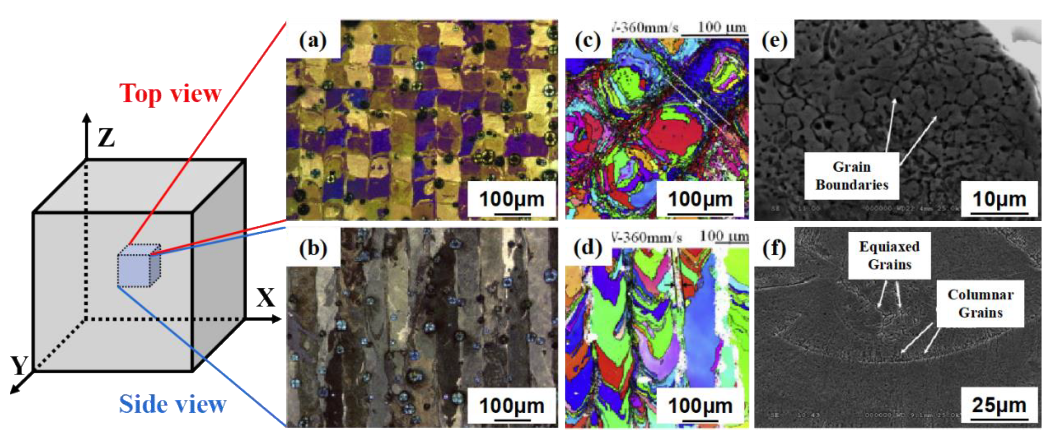 Materials 14 04496 g006 550