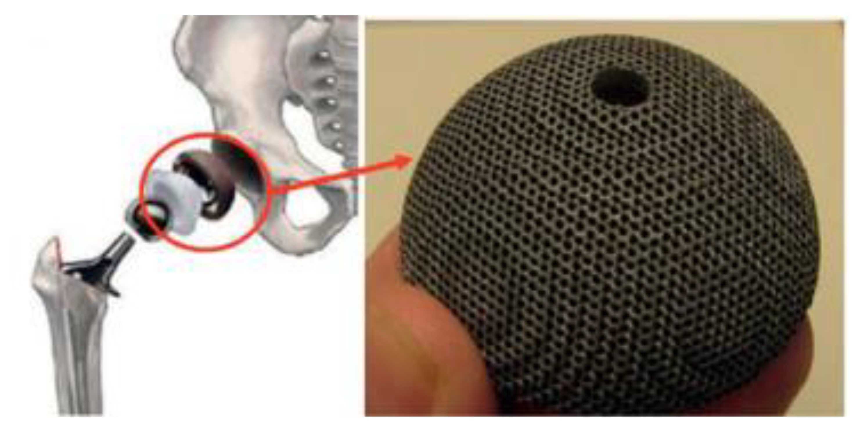 Materials 14 04496 g014 550