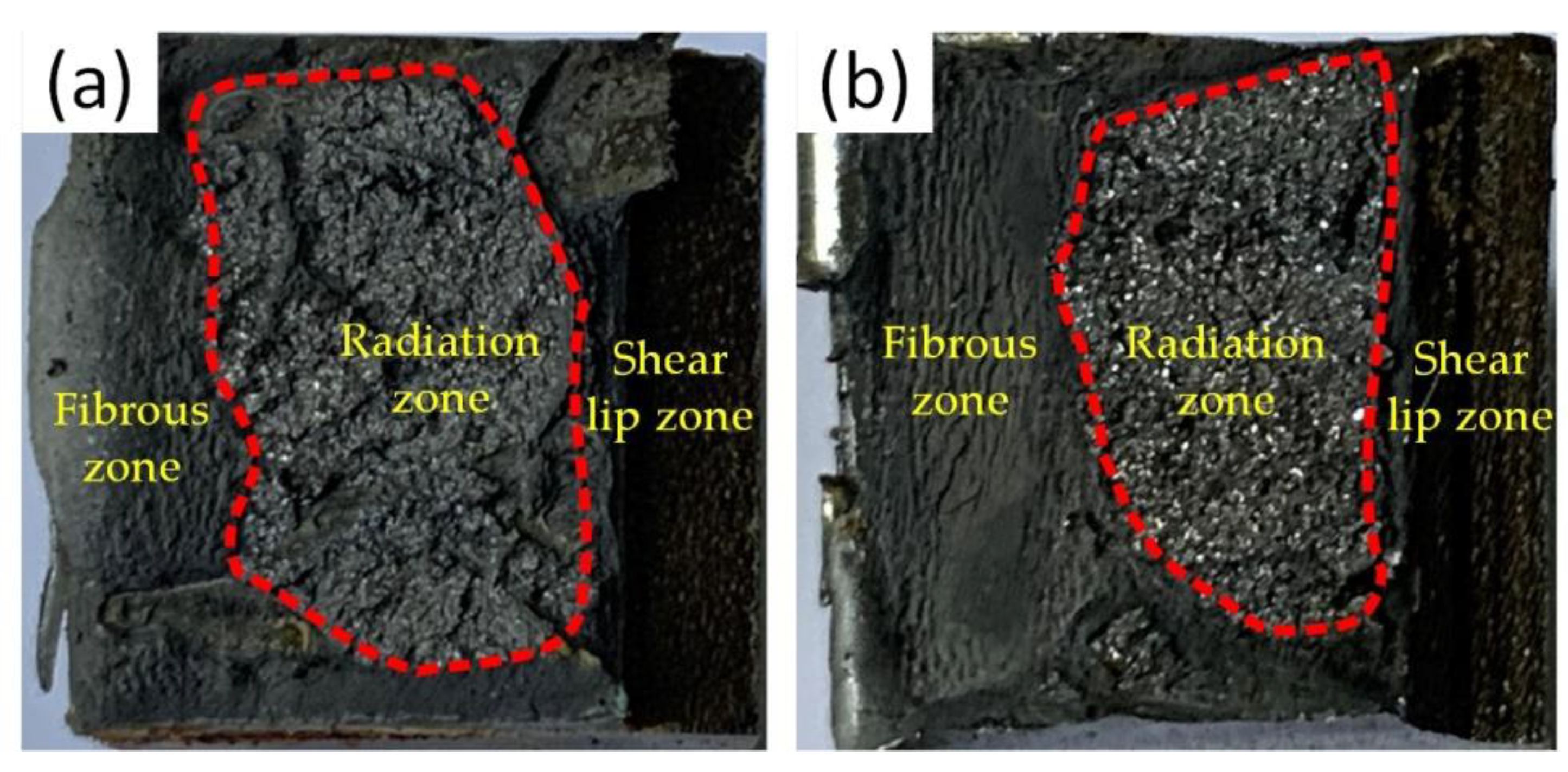Materials 14 04498 g010