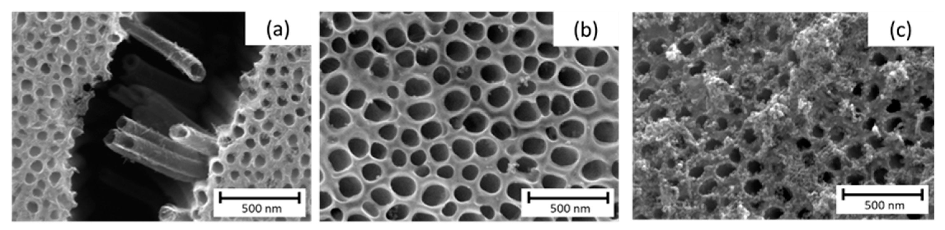 Materials 14 04501 g002