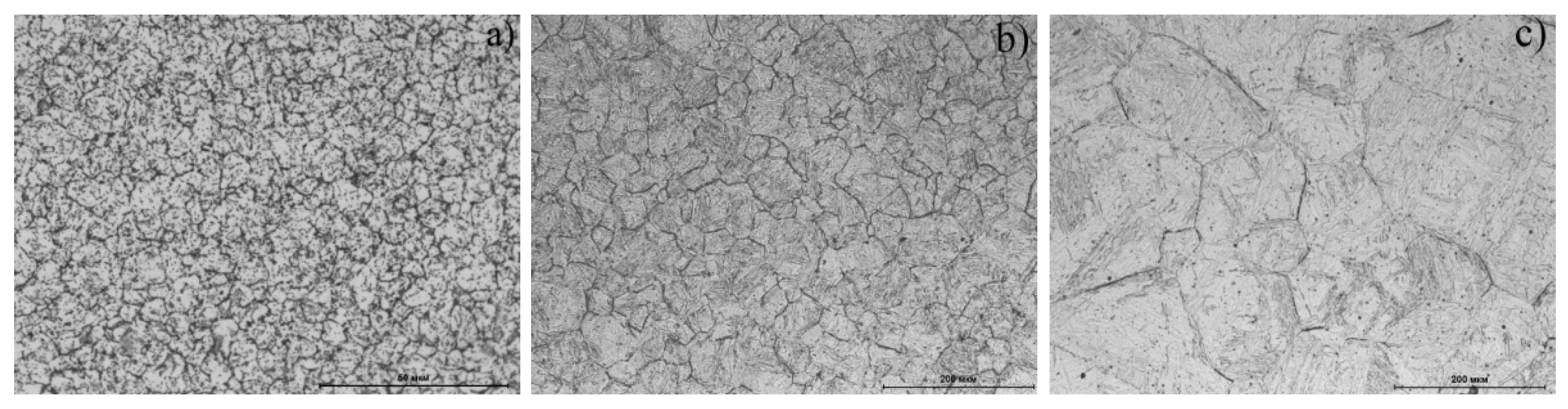 Materials 14 04503 g005 550