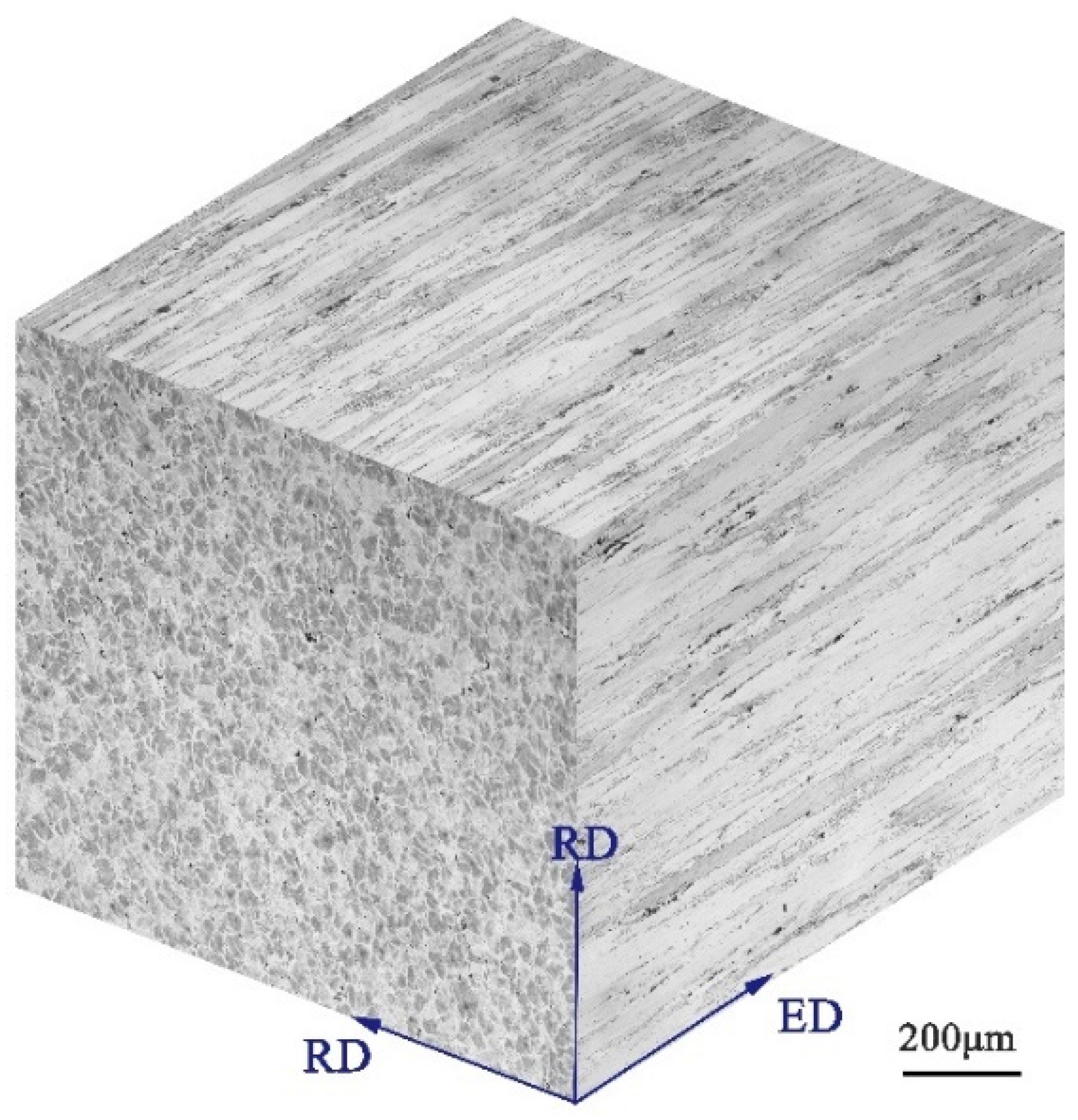 Materials 14 04506 g002 550