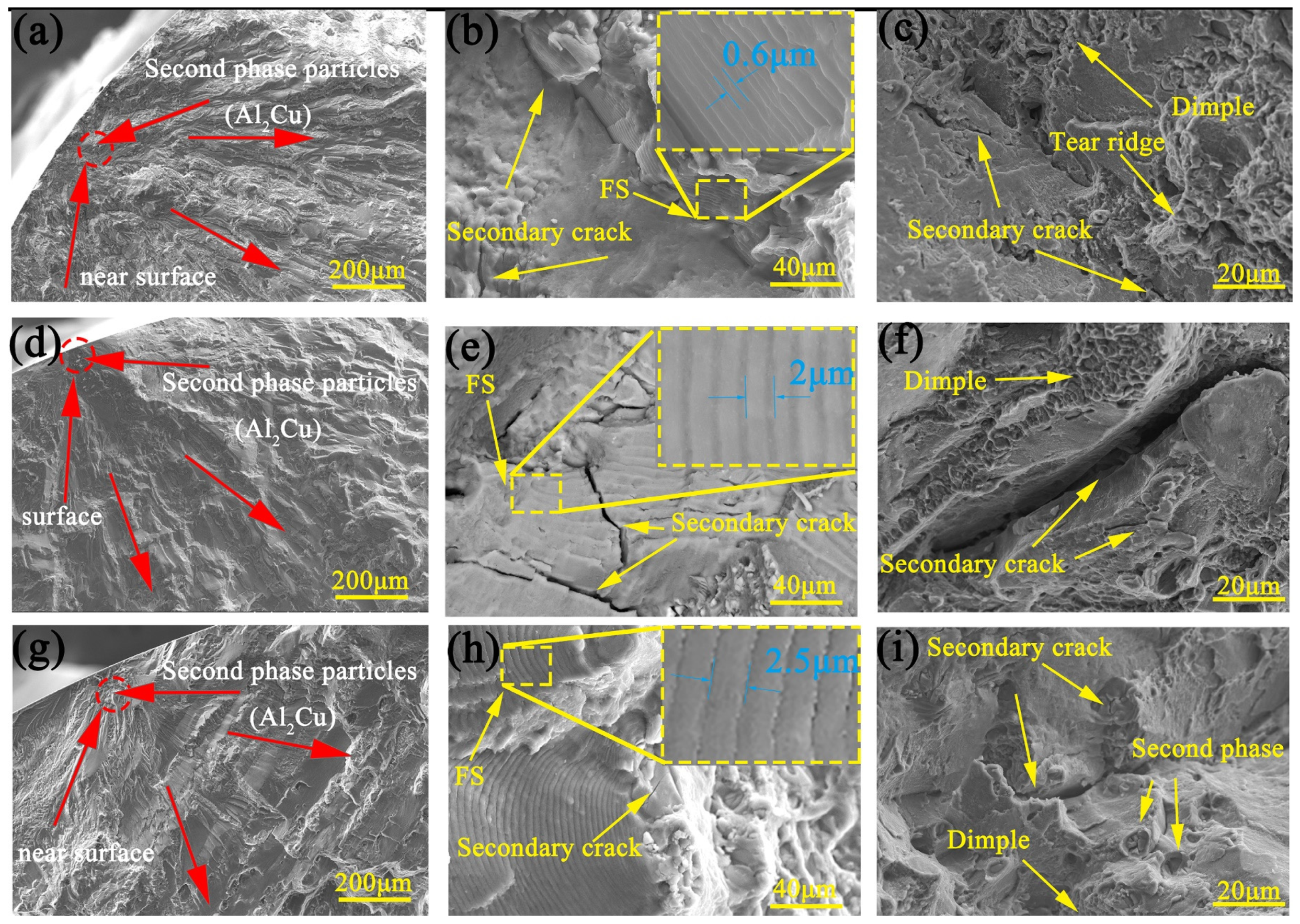 Materials 14 04506 g012 550