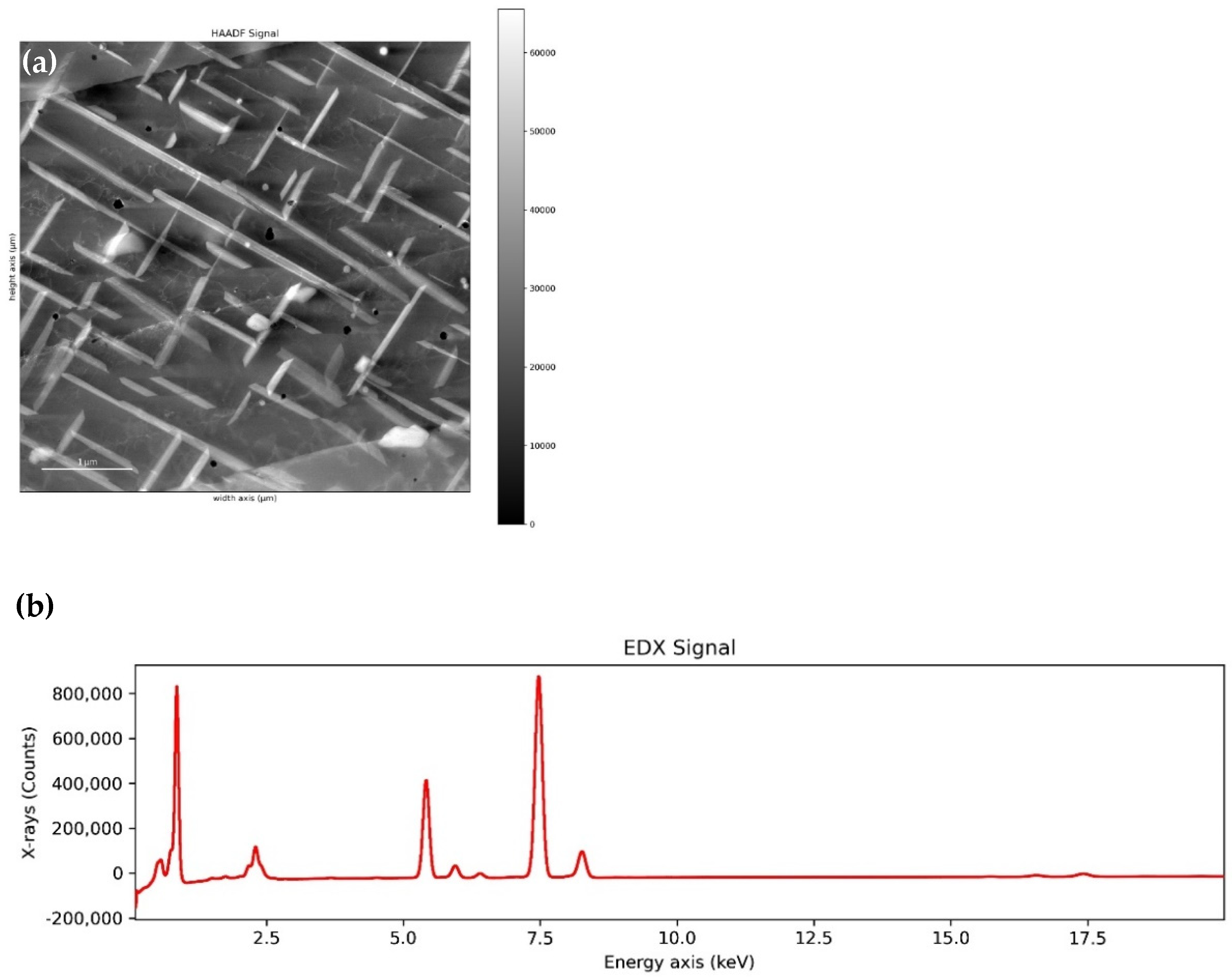 Materials 14 04507 g007 550