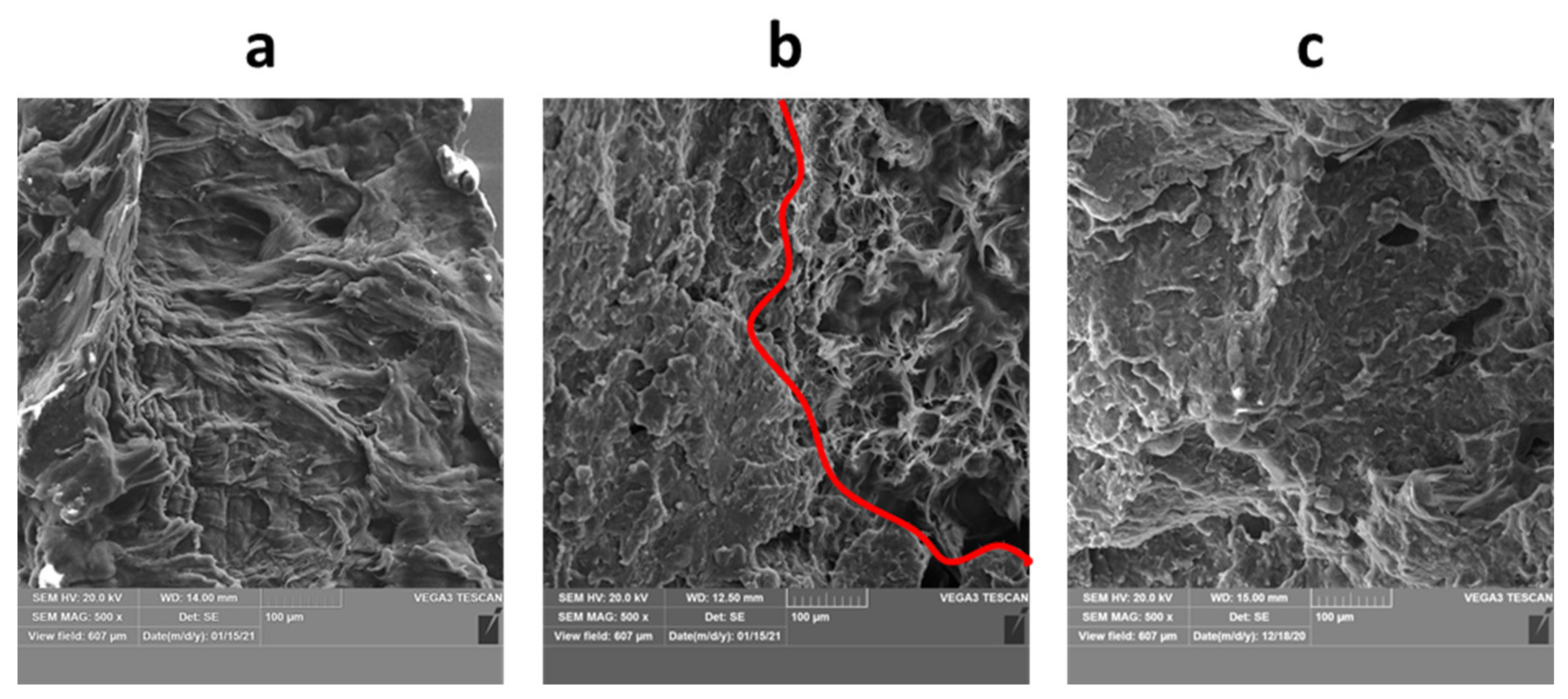 Materials 14 04510 g021 Materials 14 04510 g021