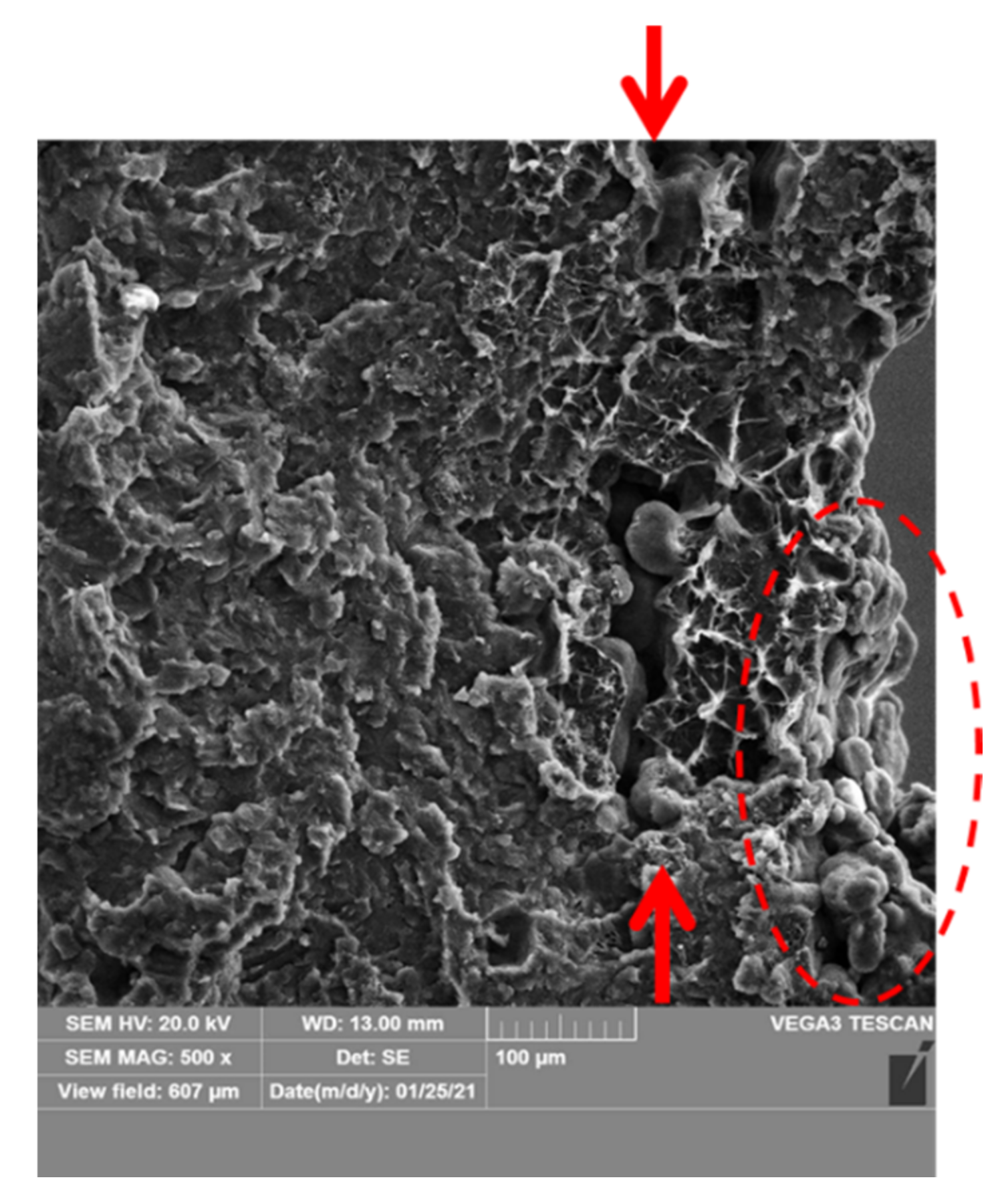 Materials 14 04510 g022 Materials 14 04510 g022