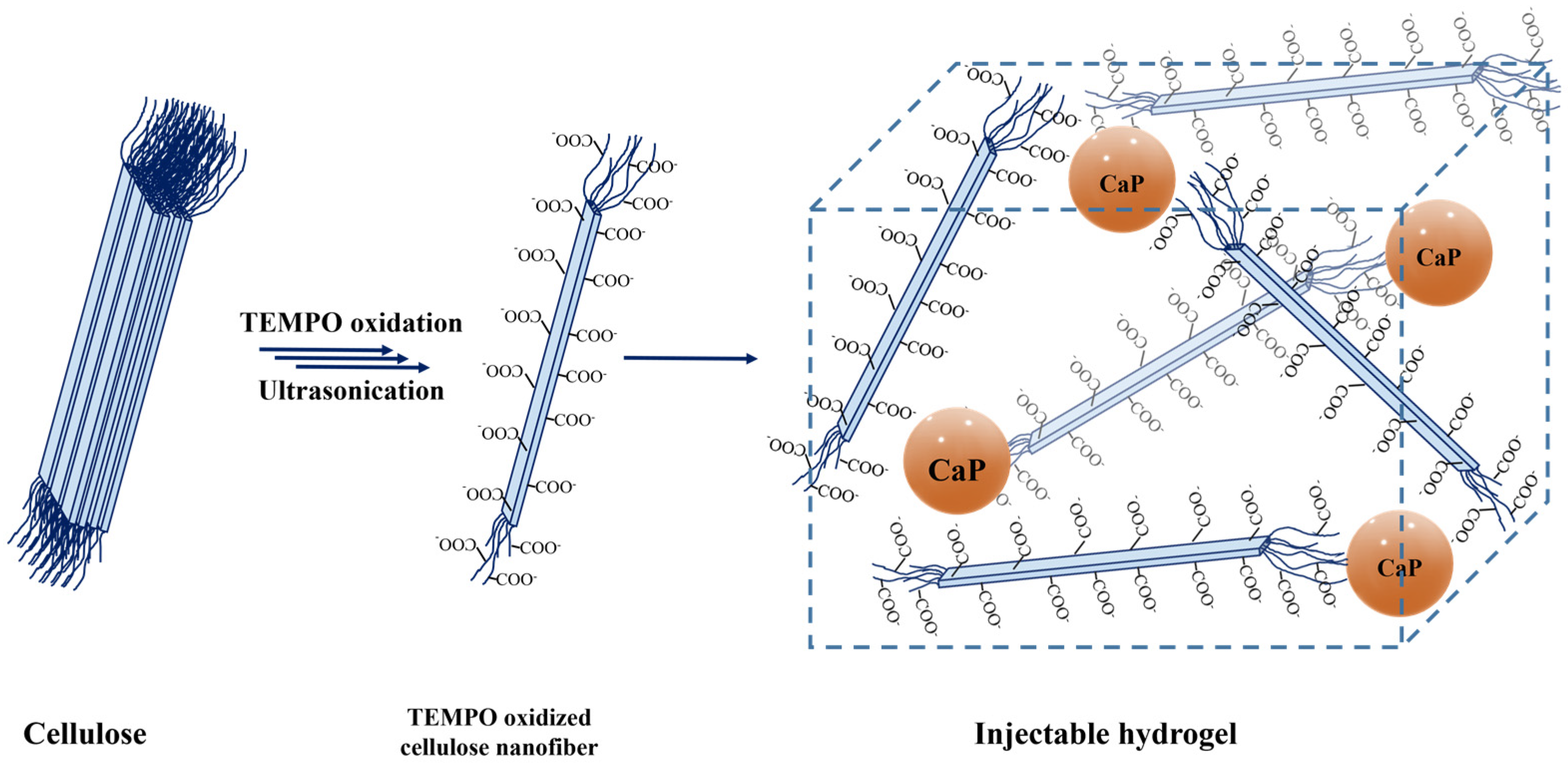 Materials 14 04511 g001