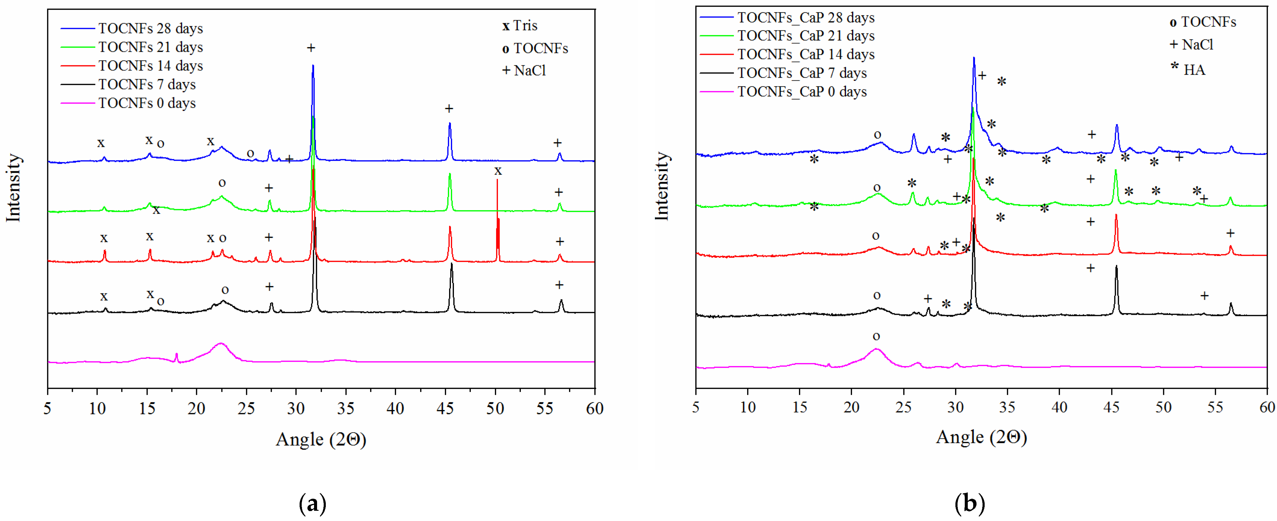 Materials 14 04511 g005a