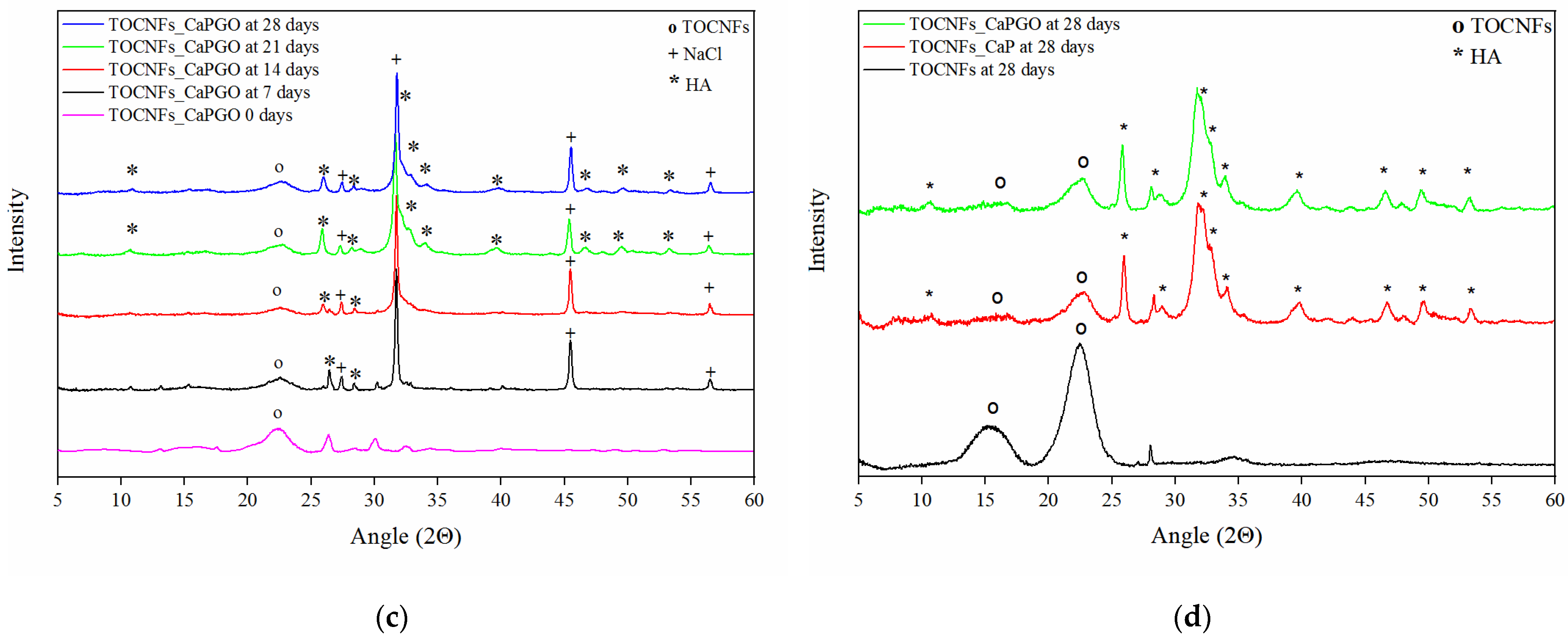 Materials 14 04511 g005b