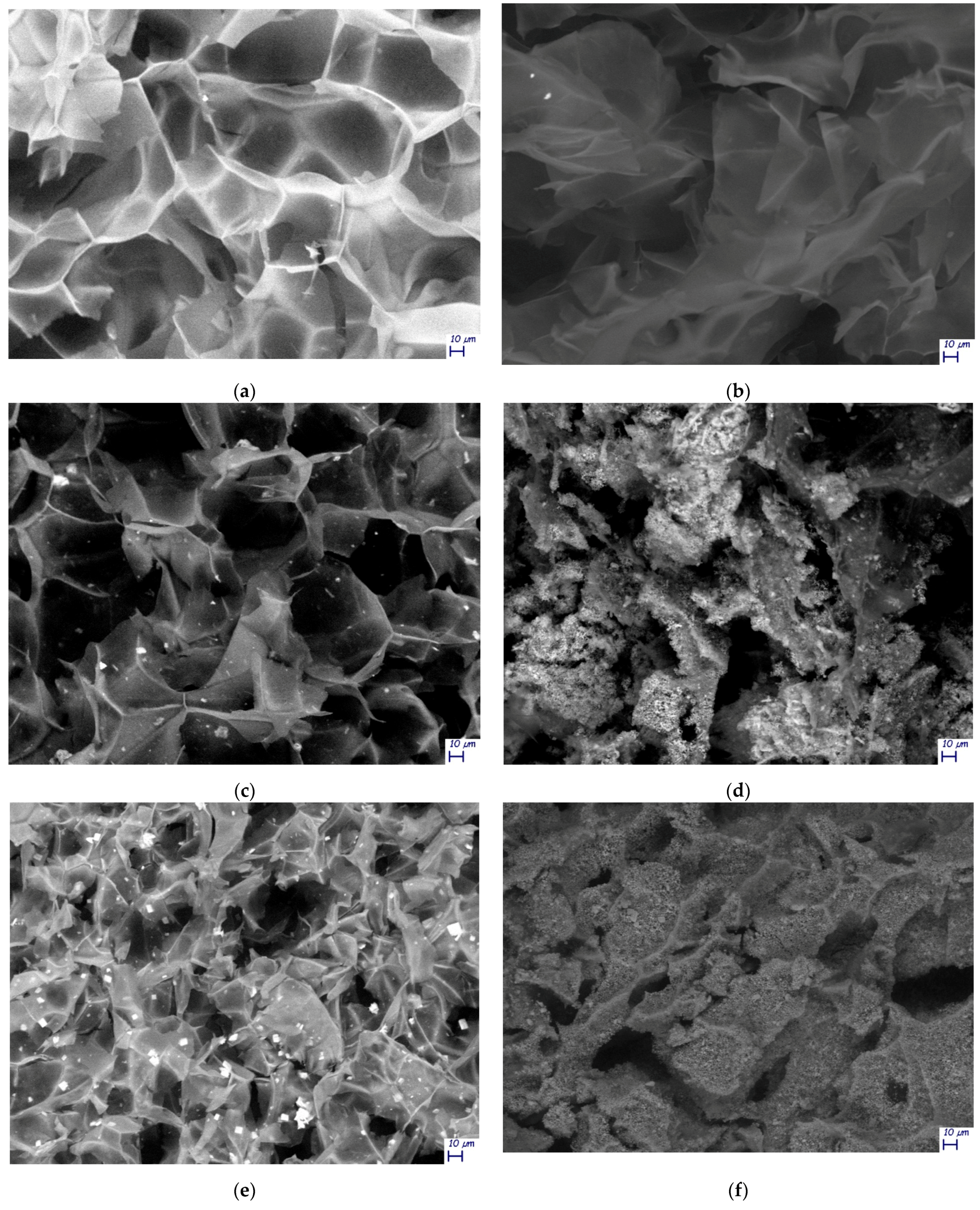 Materials 14 04511 g006