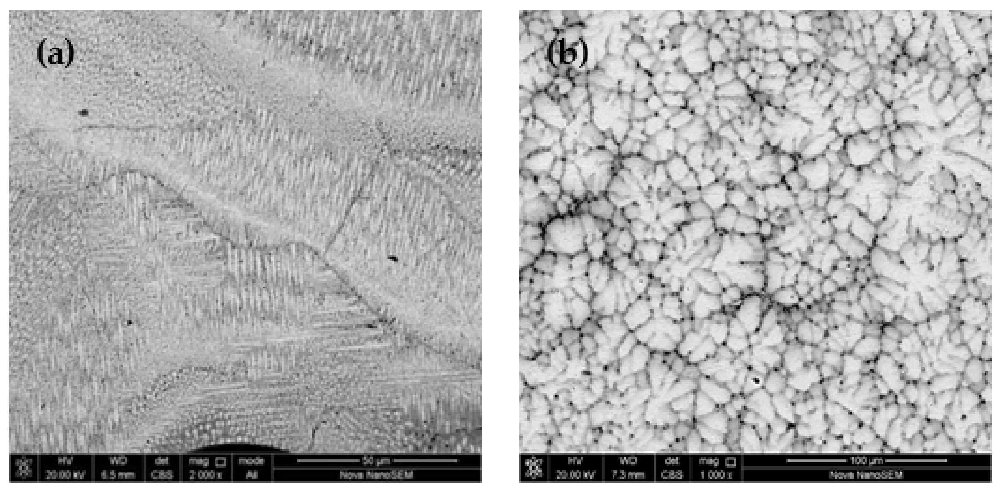 Materials 14 04512 g003