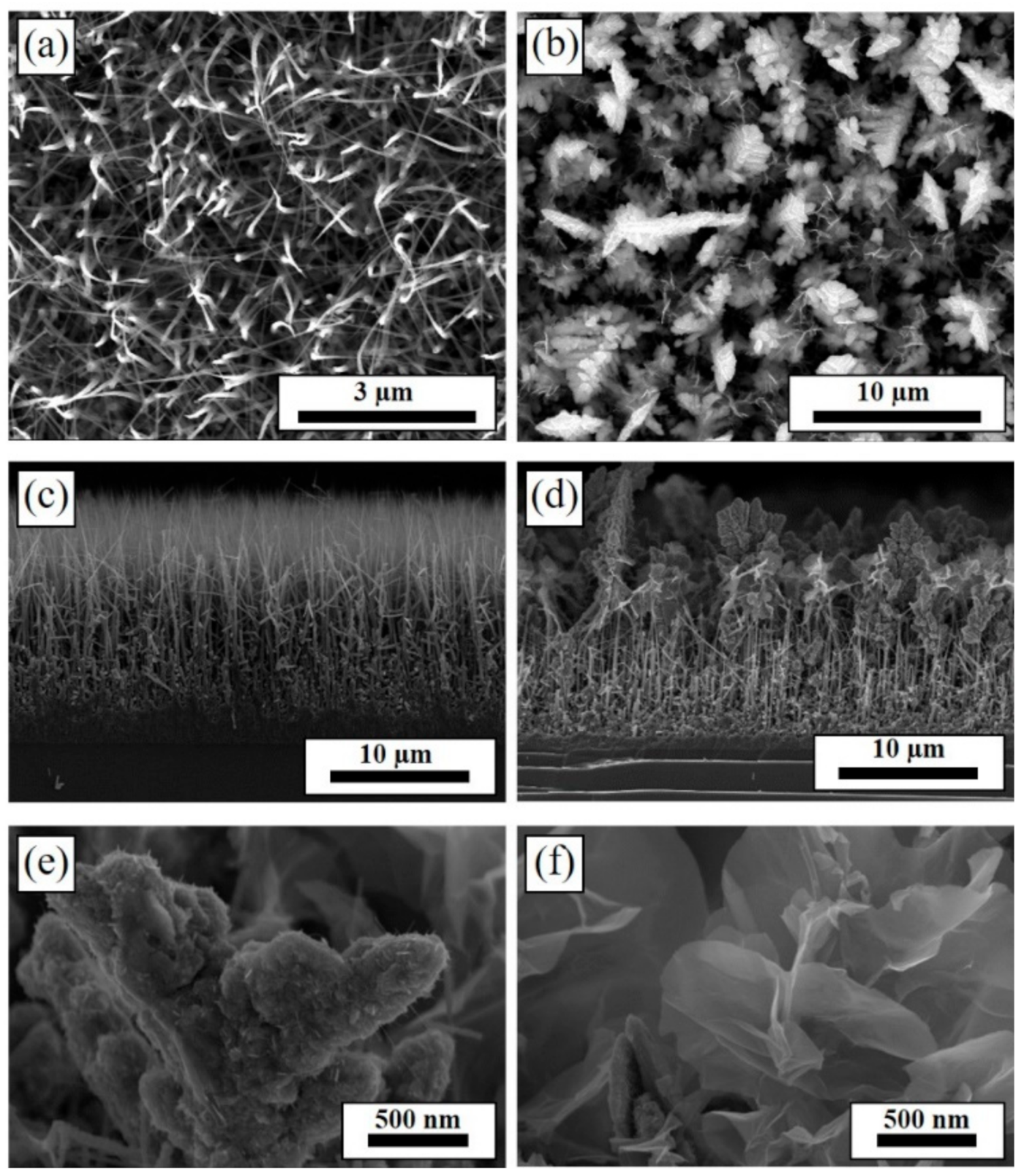 Materials 14 04514 g001