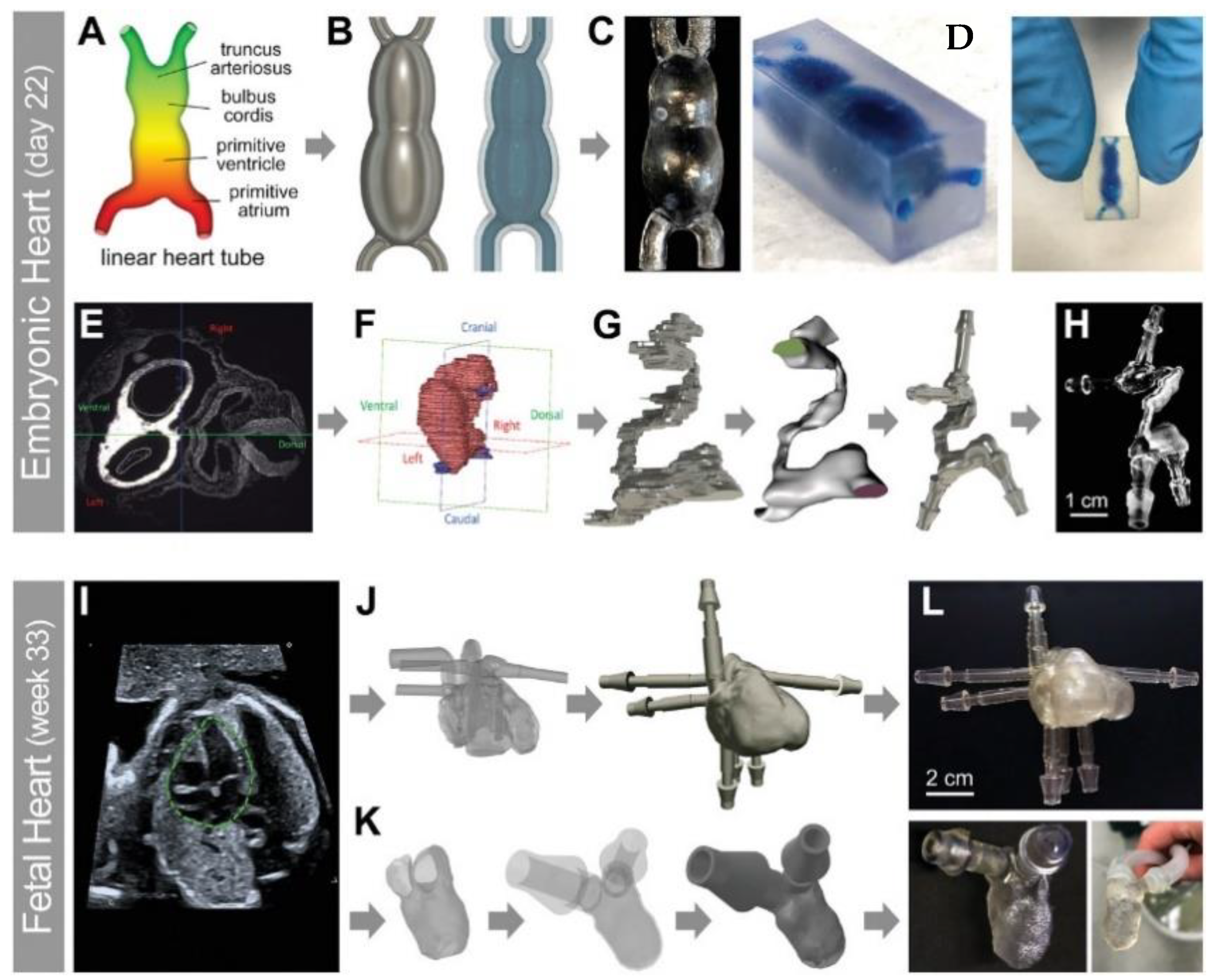 Materials 14 04521 g001