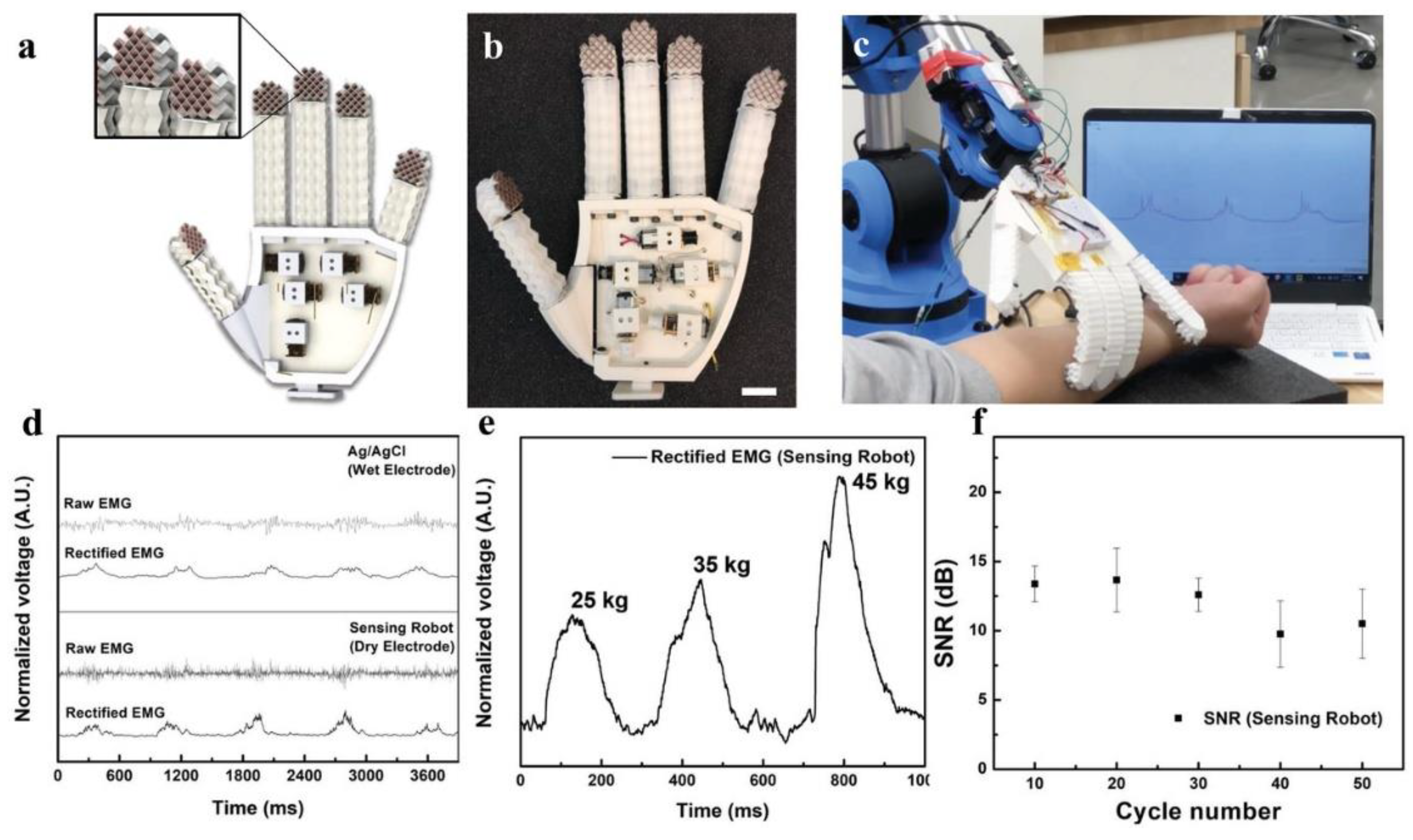 Materials 14 04521 g008