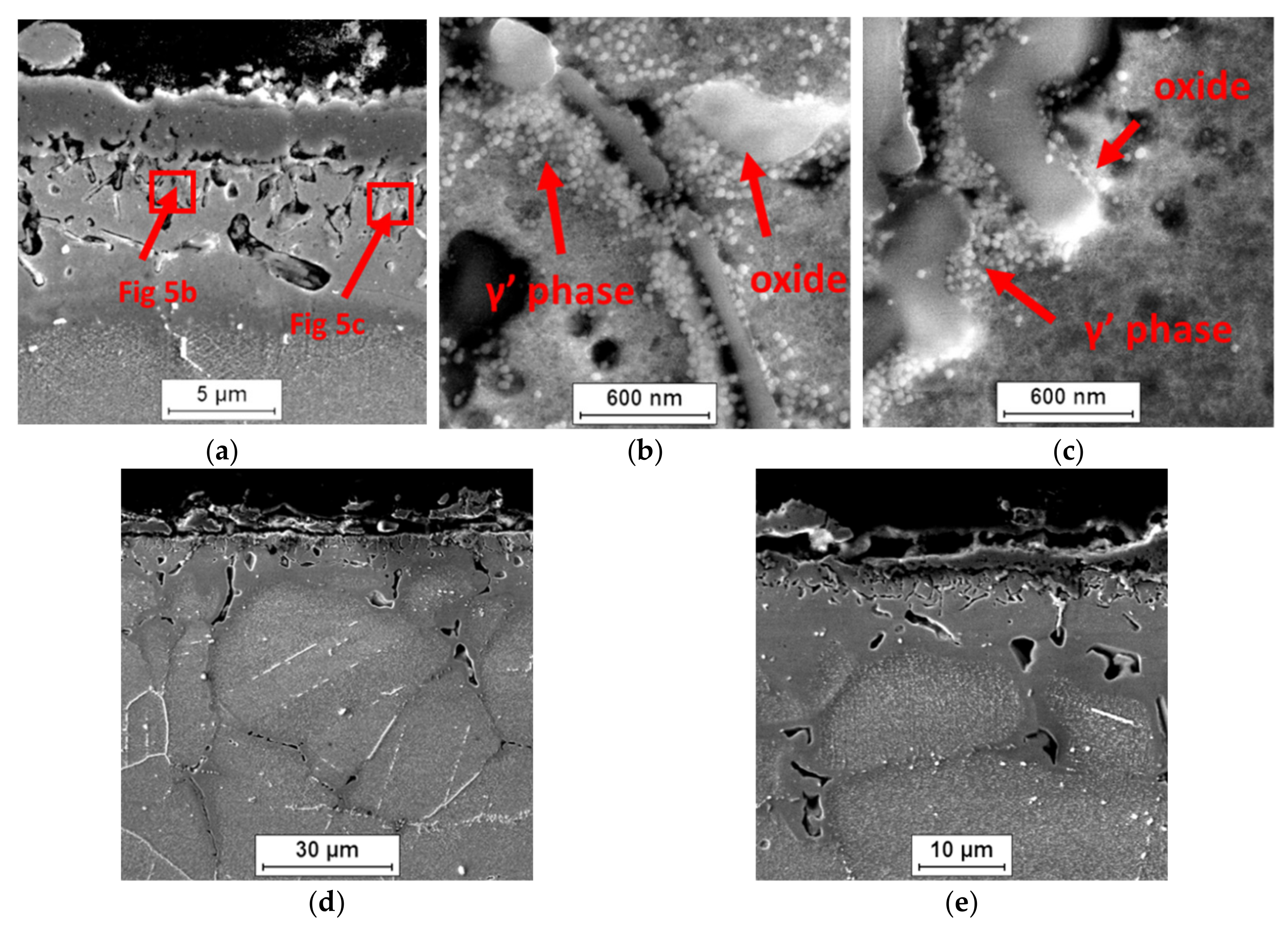 Materials 14 04536 g007