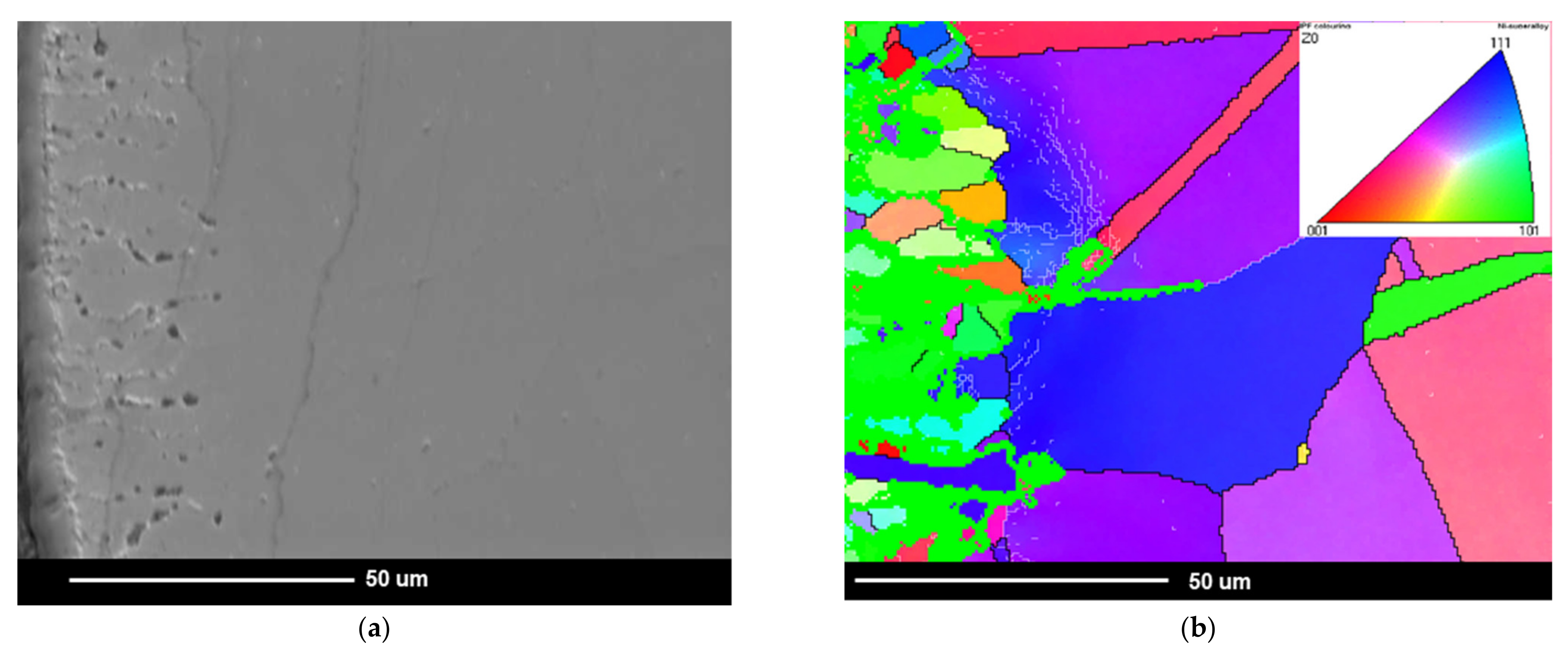 Materials 14 04536 g010