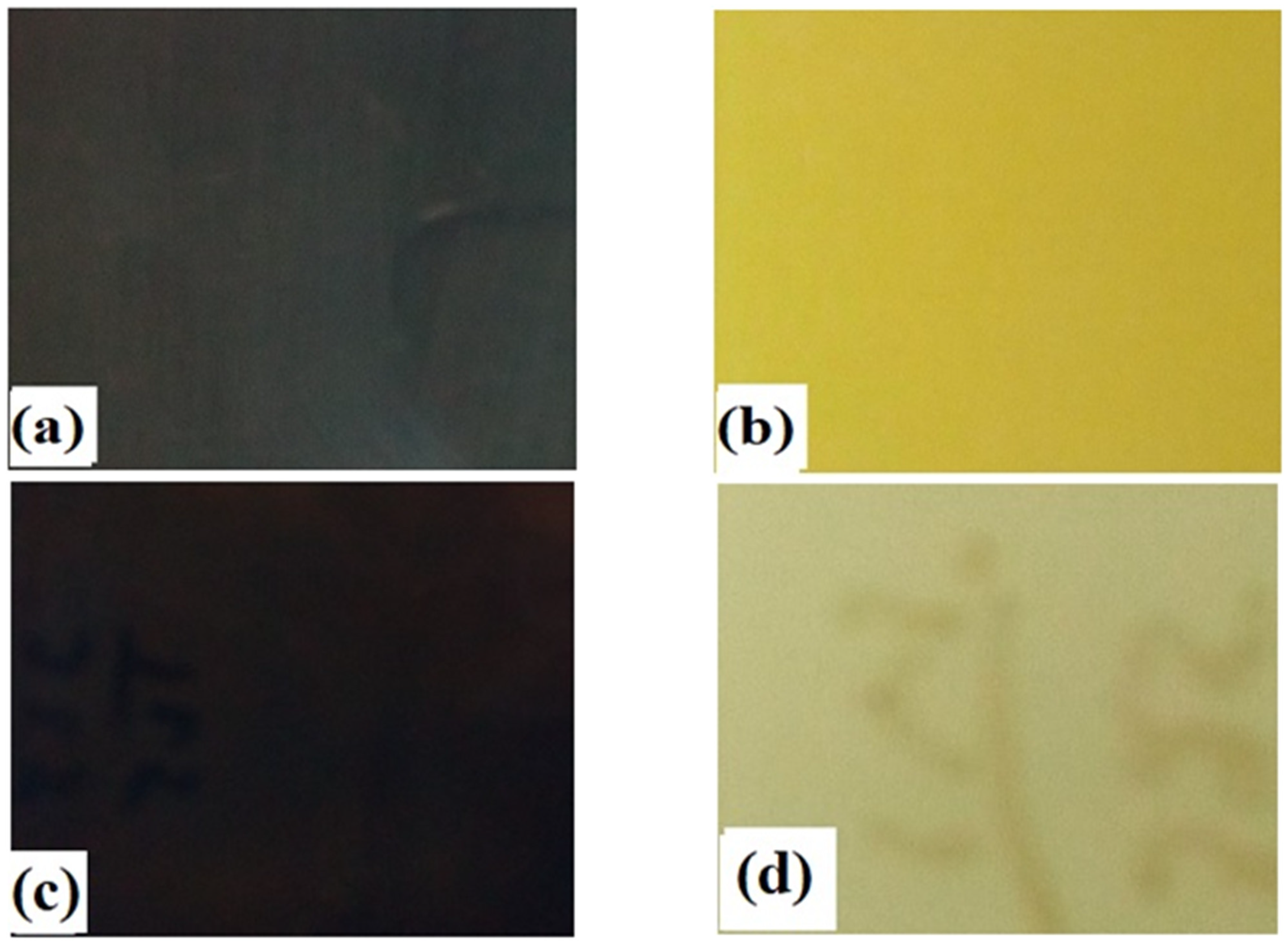 Materials 14 04538 g001 550