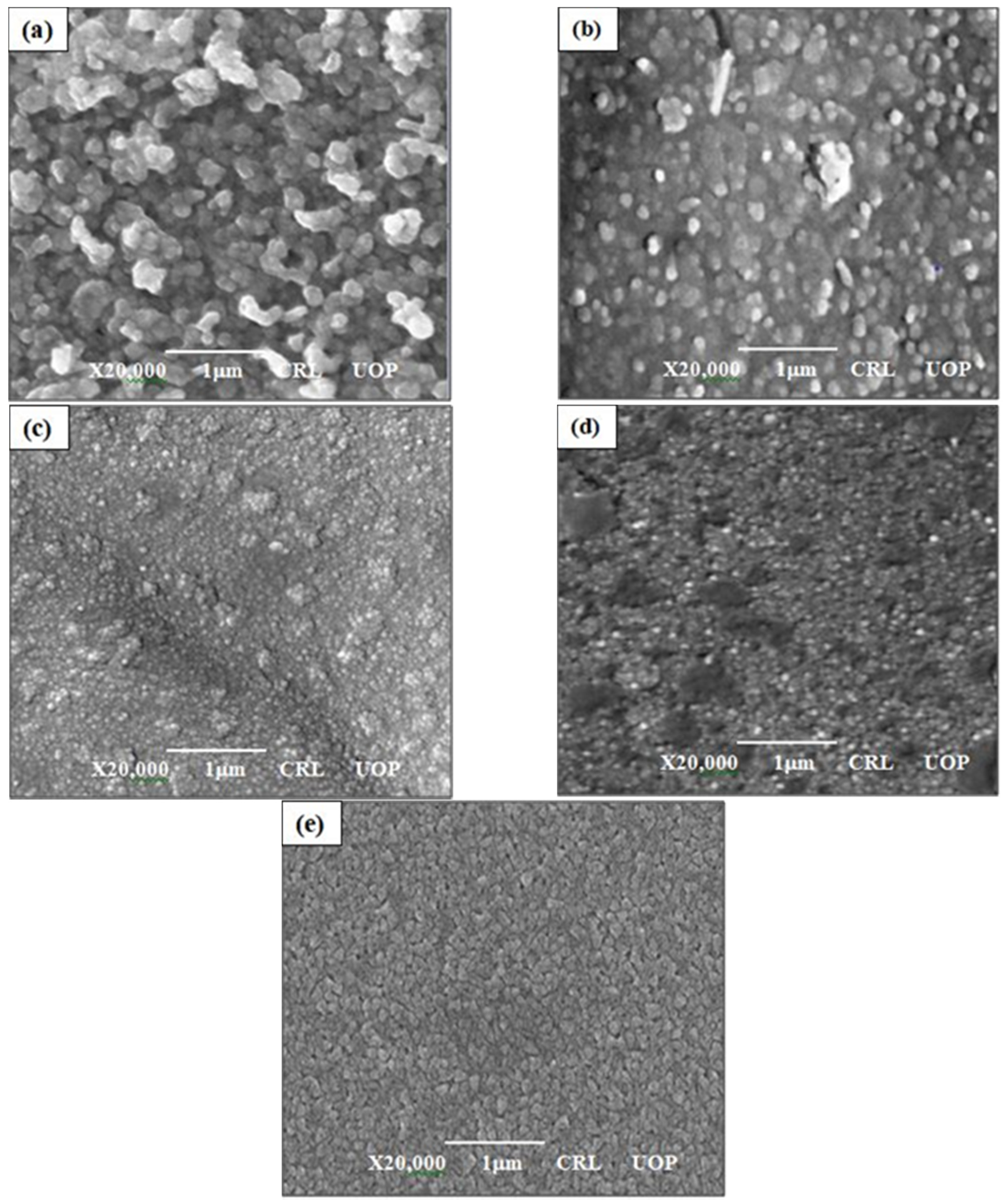 Materials 14 04538 g003 550